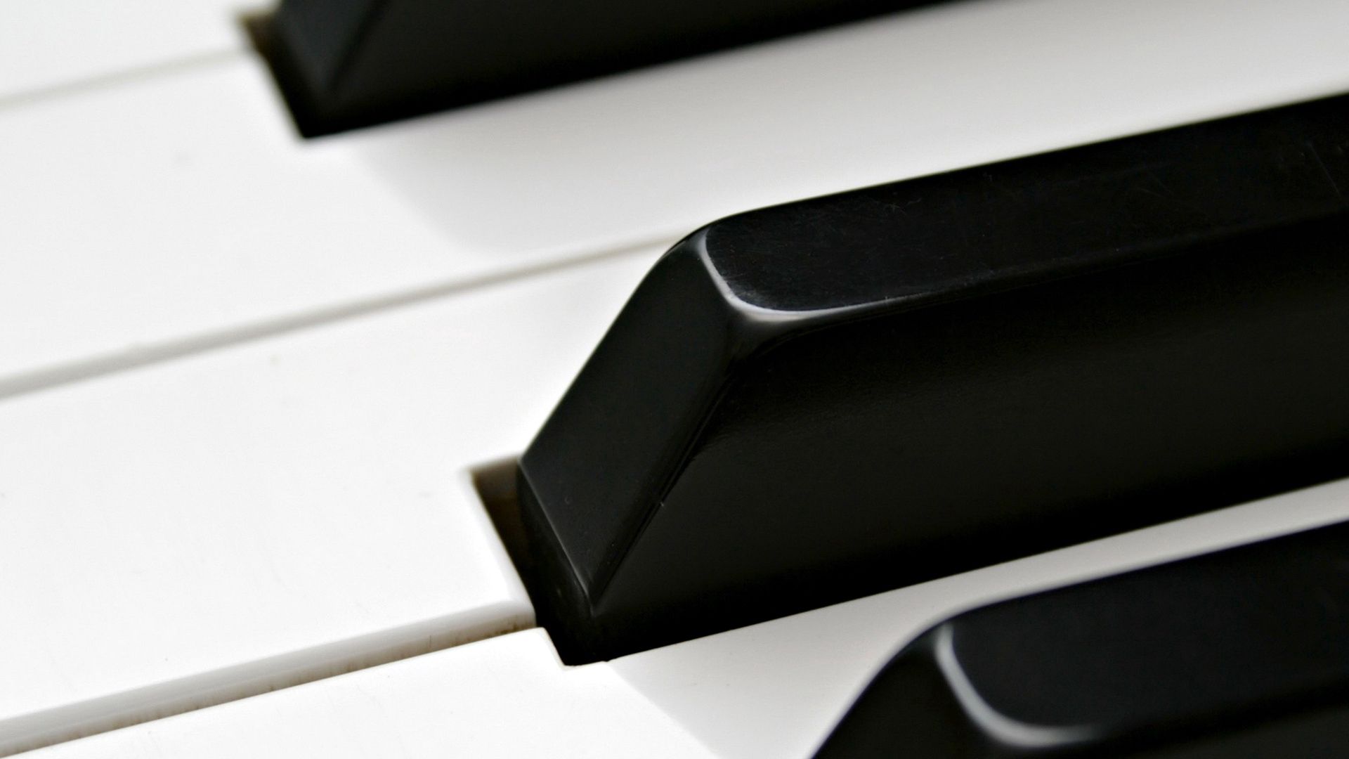 Piano keys, macro, grand piano, black Free Stock Photos