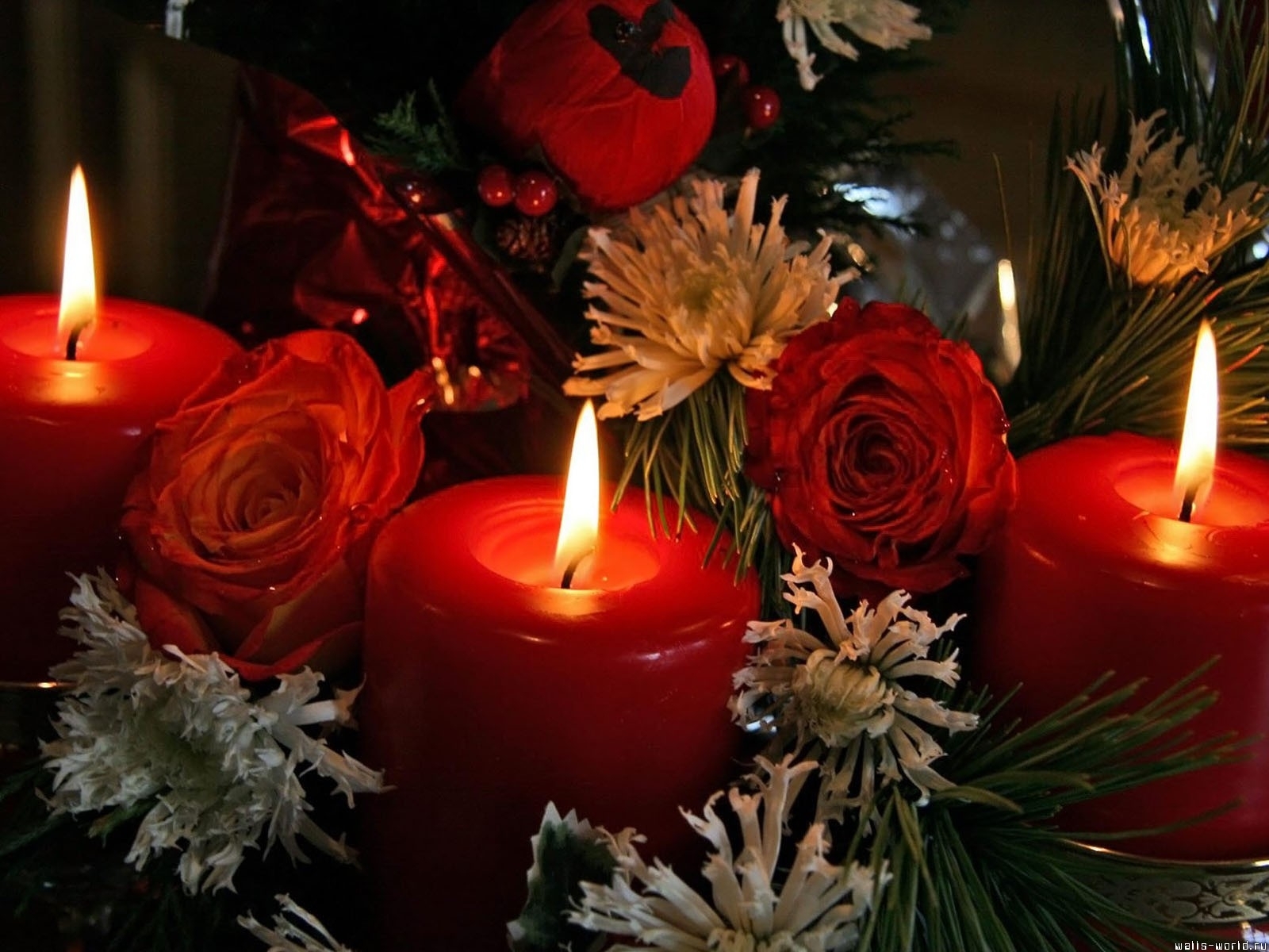 Laden Sie das Feiertage, Blumen, Neujahr, Weihnachten, Kerzen-Bild kostenlos auf Ihren PC-Desktop herunter