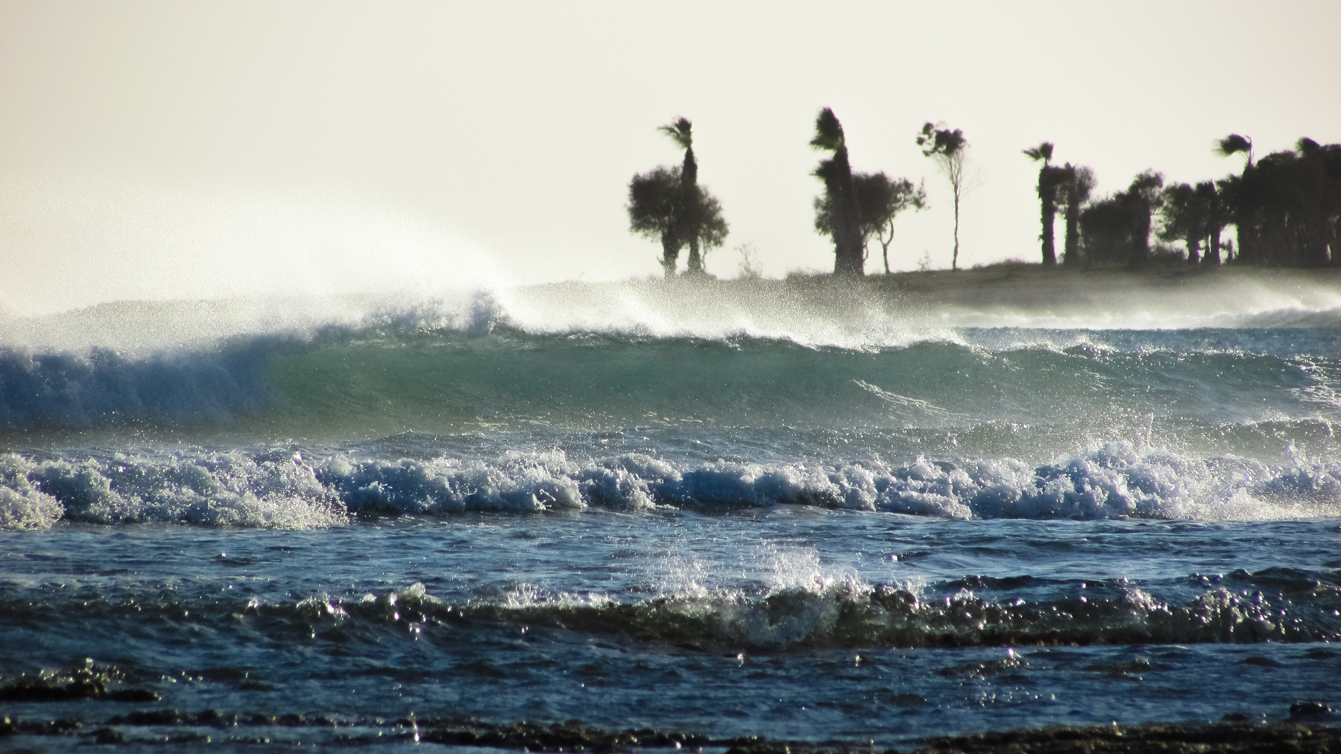 Laden Sie das Natur, Sea, Waves, Palms, Sturm-Bild kostenlos auf Ihren PC-Desktop herunter