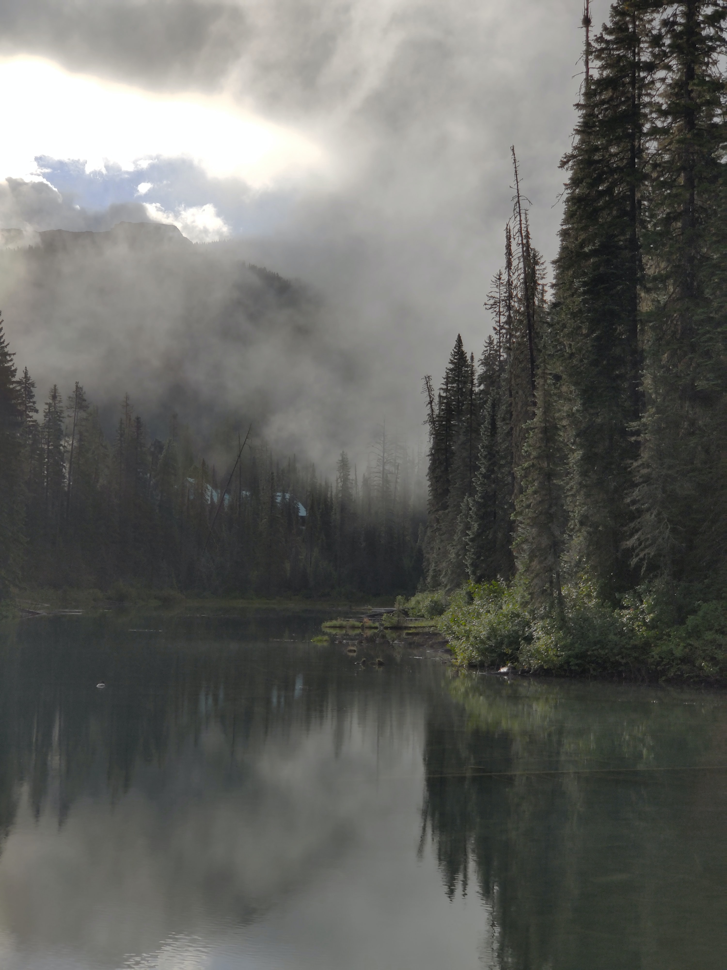 53182 Bild herunterladen natur, flüsse, bäume, wald, nebel, dunkelheit - Hintergrundbilder und Bildschirmschoner kostenlos