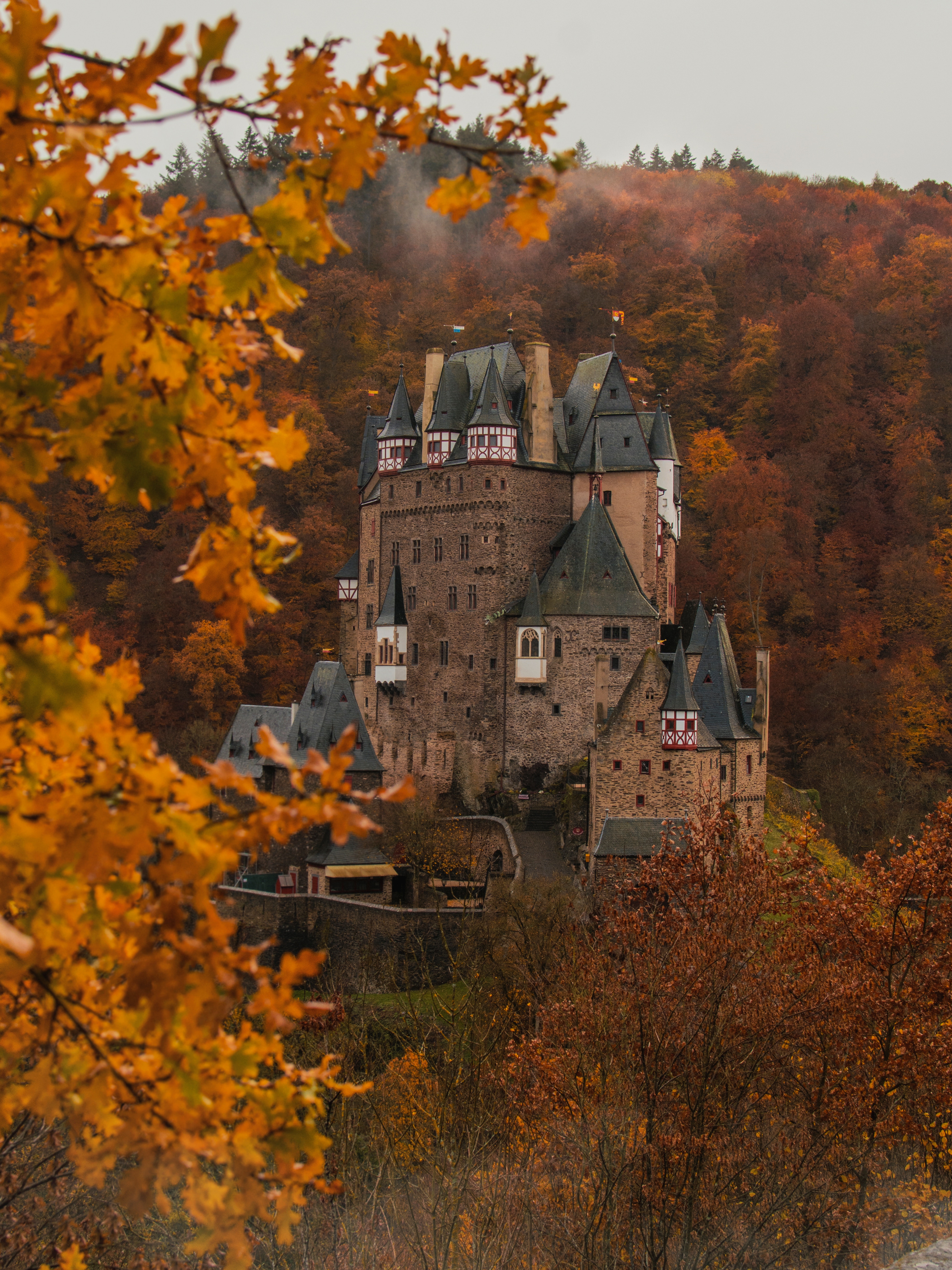 60133 скачать обои города, замок, ветки, осень, листья, германия, архитектура - заставки и картинки бесплатно