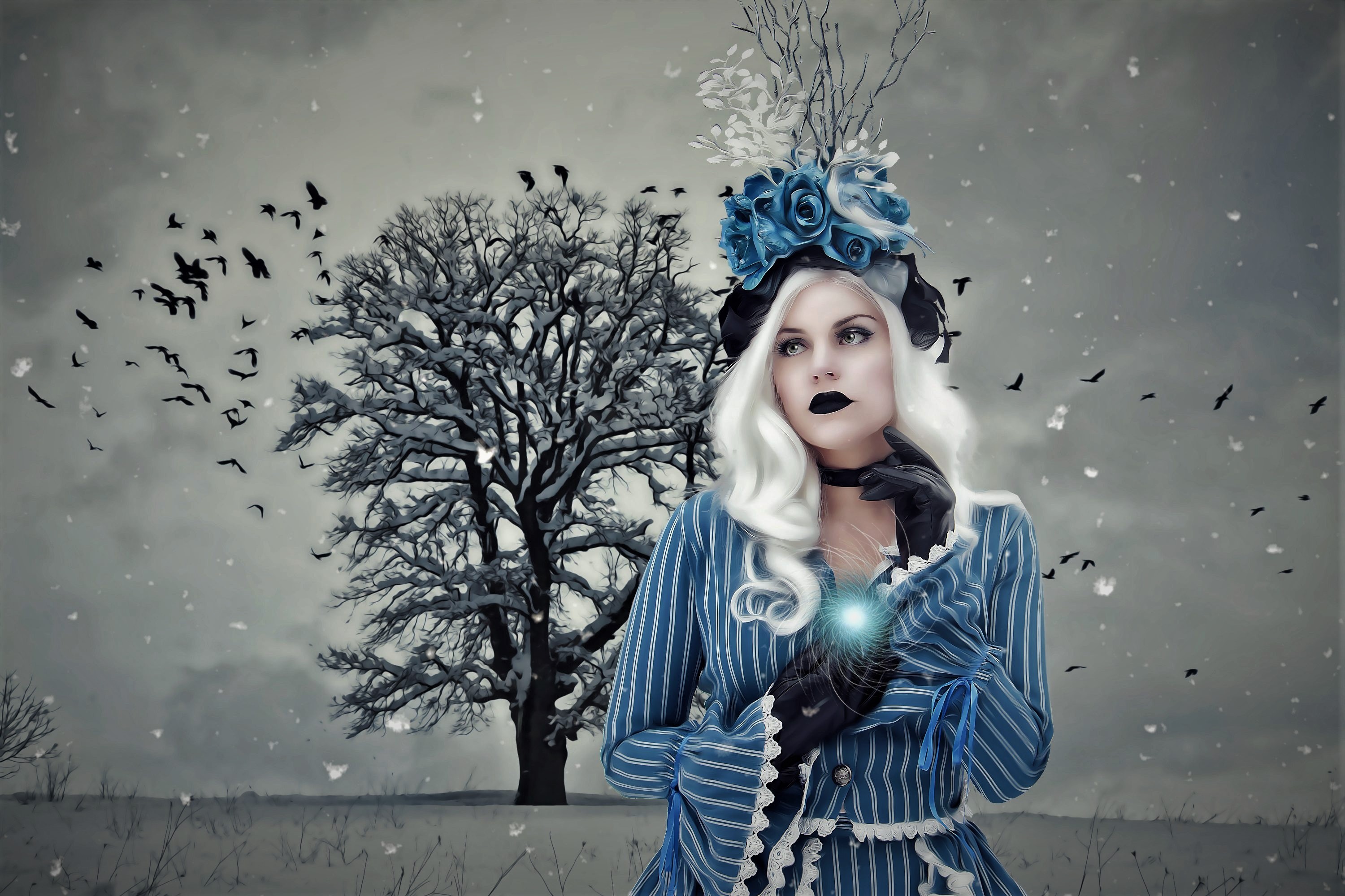 winter, blue rose, lipstick, rose, gothic, fantasy, women, bird, snow, white hair Free Stock Photo