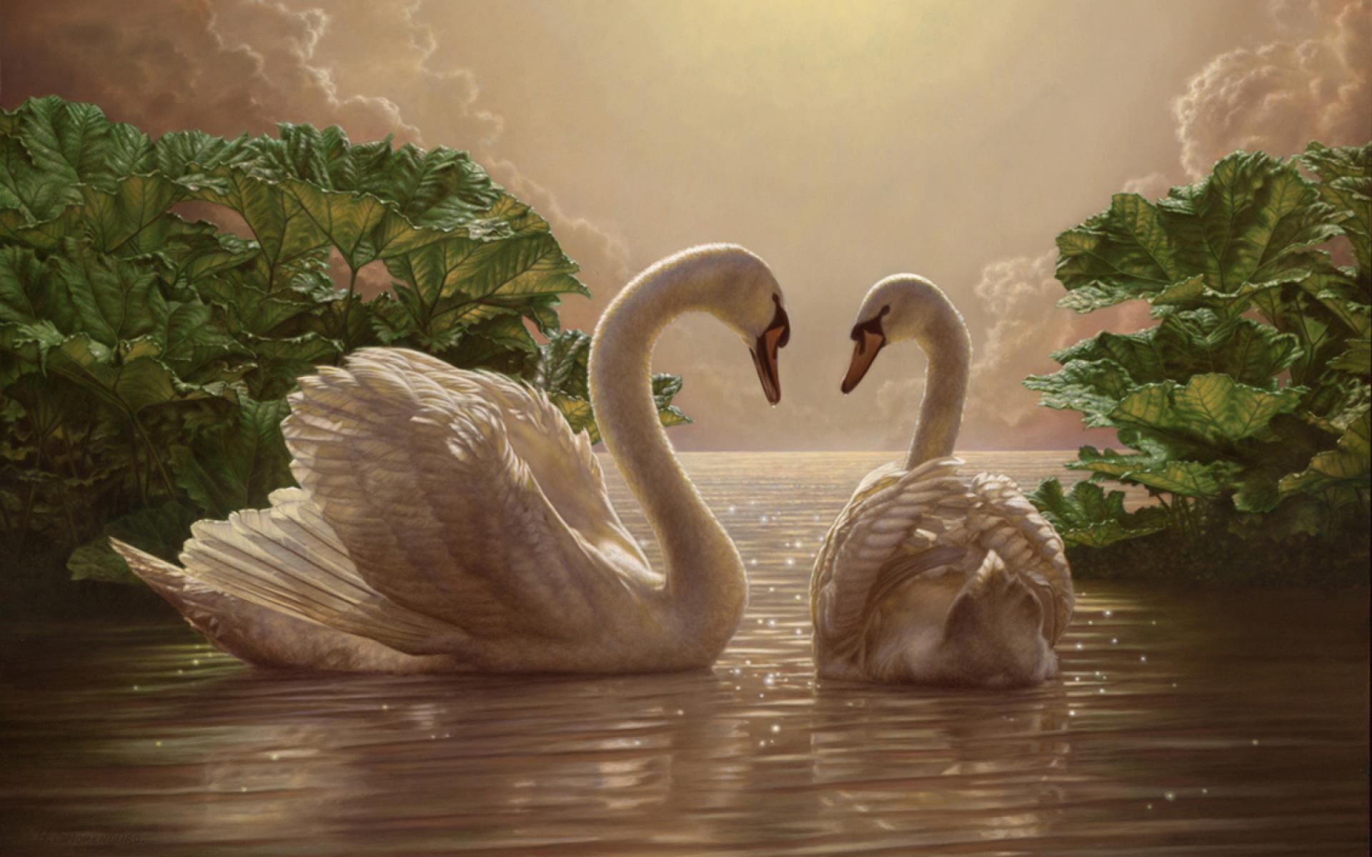 Laden Sie das Tiere, Vögel, Swans-Bild kostenlos auf Ihren PC-Desktop herunter