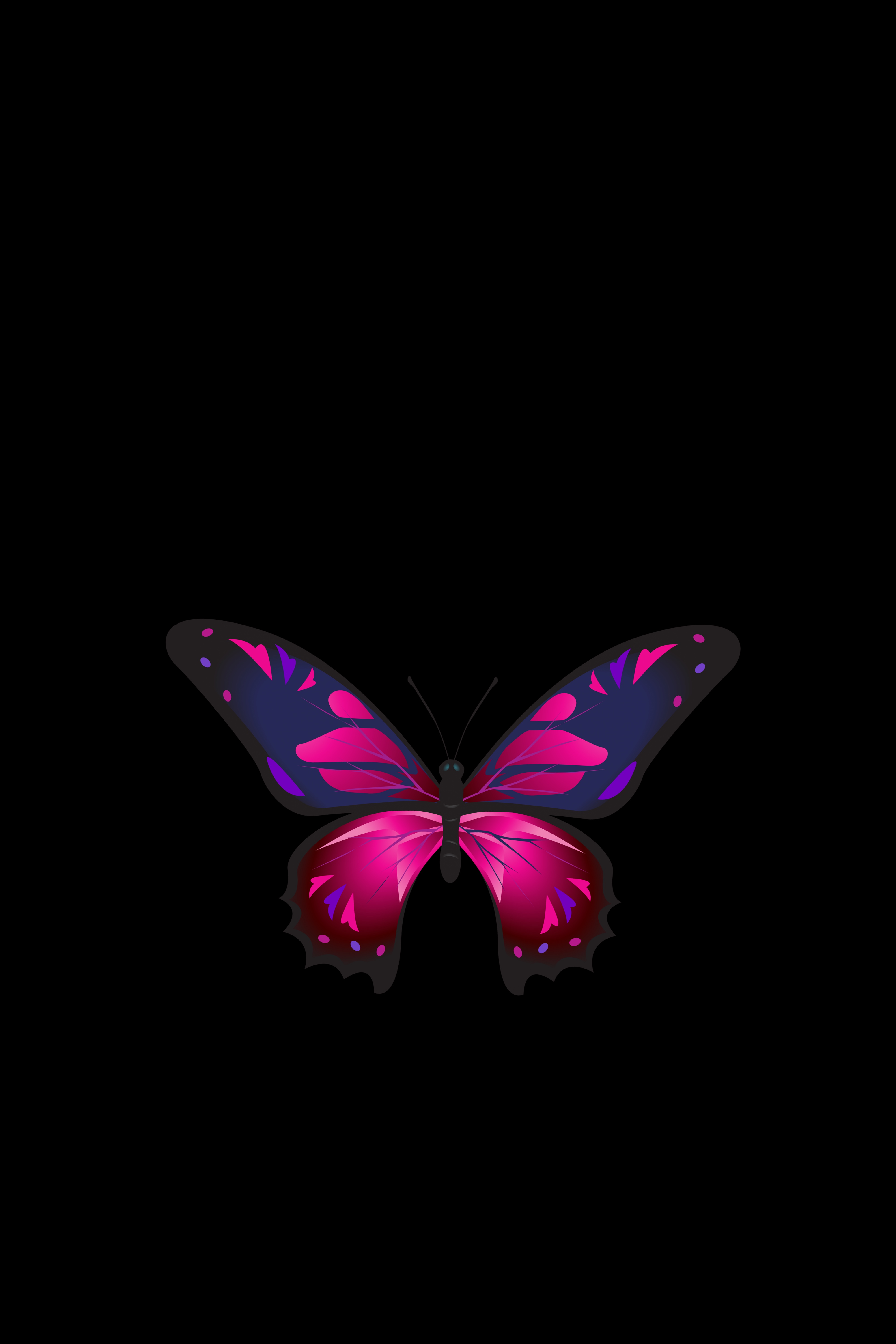 Mobile wallpaper: Wings, Patterns, Butterfly, Dark, Dark Background, 131801  download the picture for free.