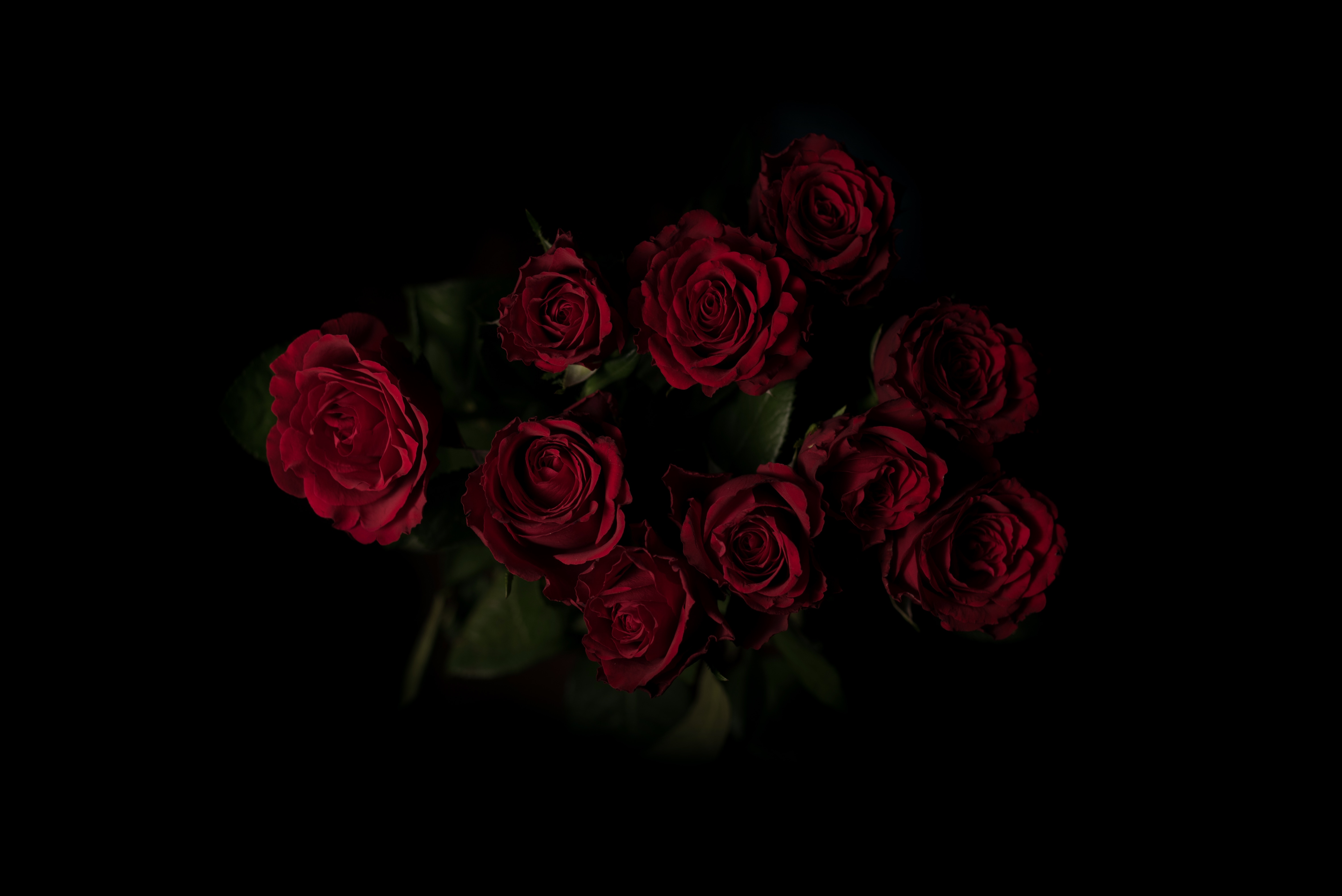 red, bouquet, dark background, flowers Vertical Wallpapers