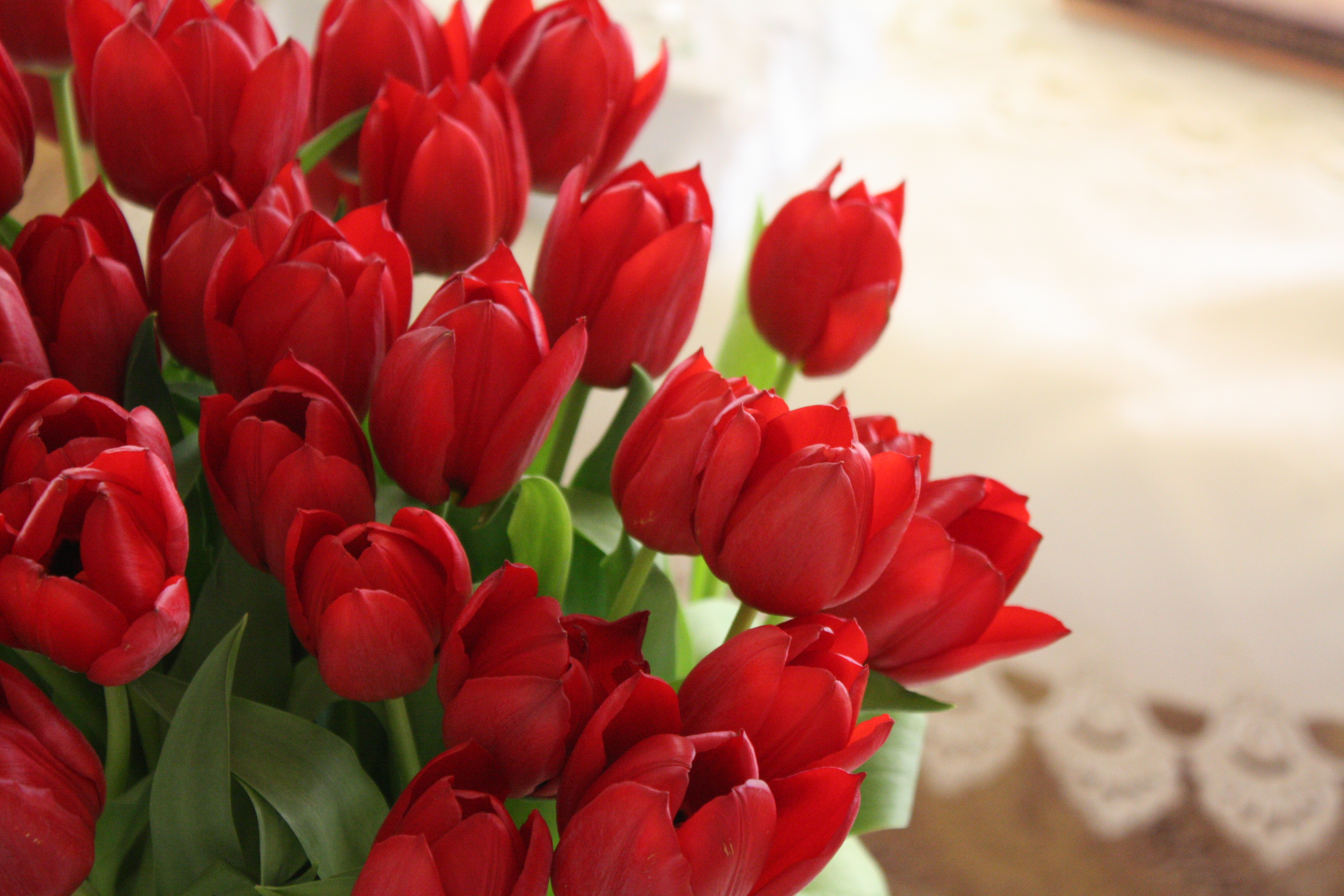 flowers, tulips, red, bouquet, handsomely, it's beautiful HD wallpaper