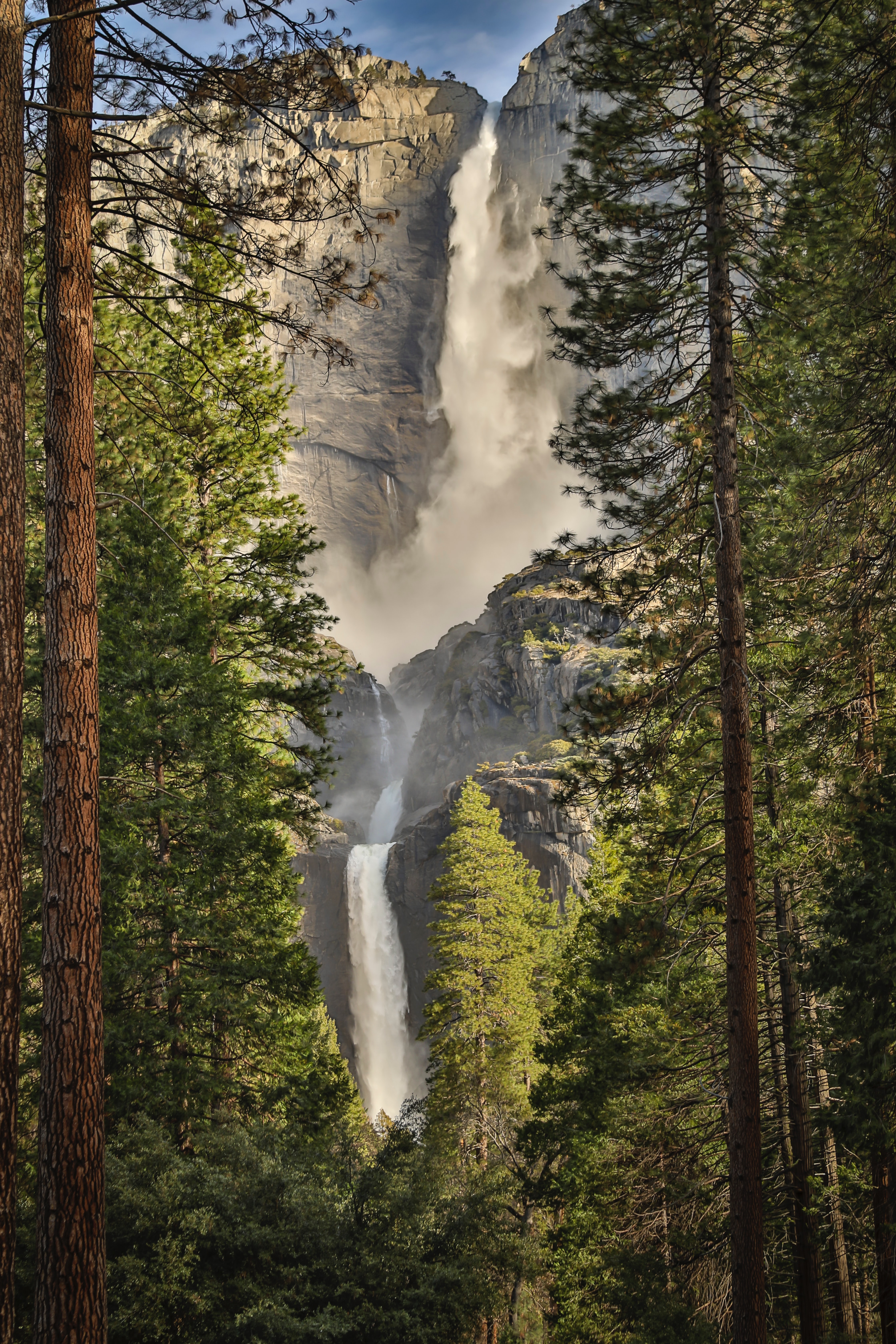 HD photos waterfall, fir, precipice, nature