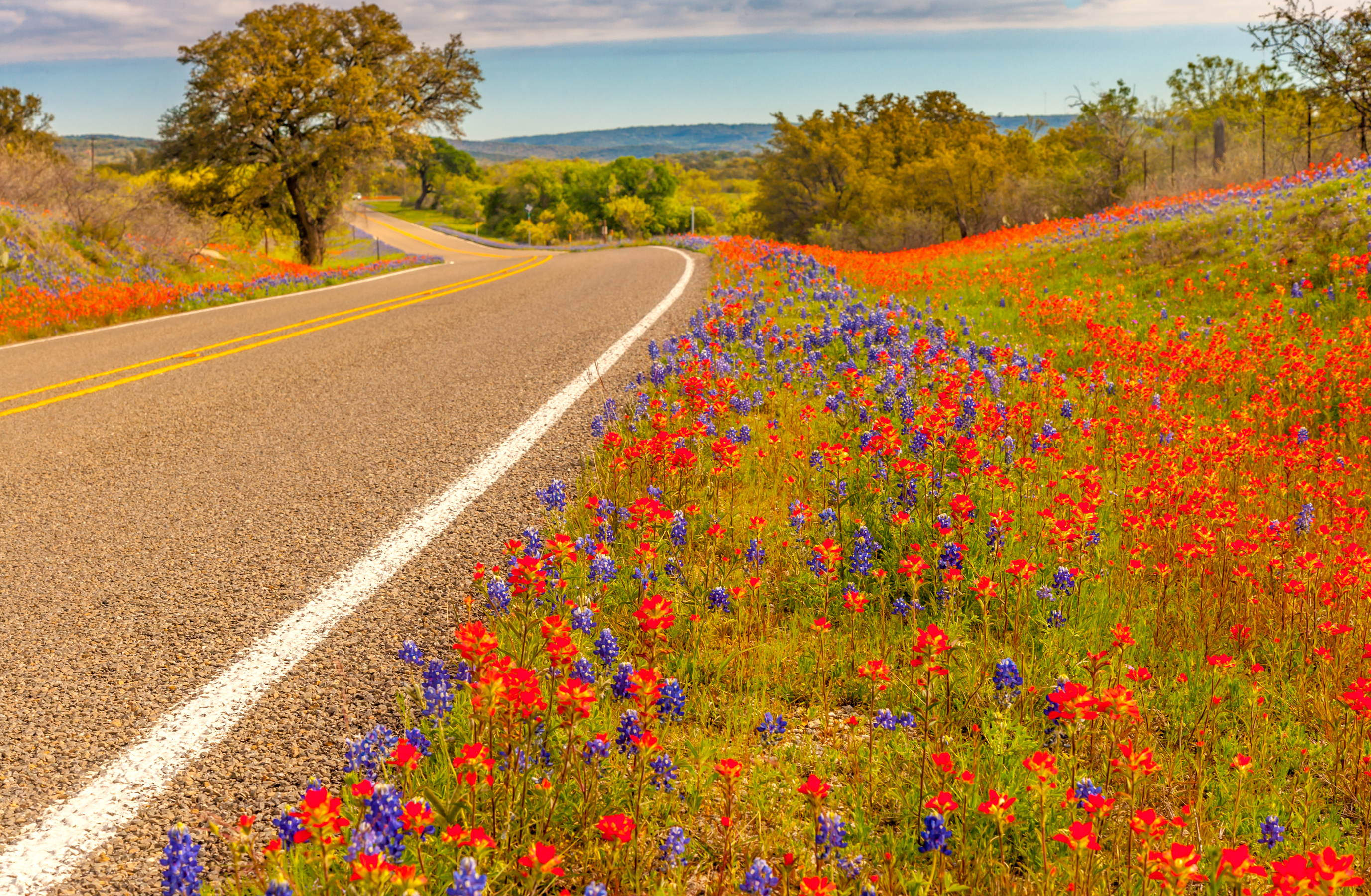 838152 descargar fondo de pantalla hecho por el hombre, carretera, flor, primavera, texas: protectores de pantalla e imágenes gratis