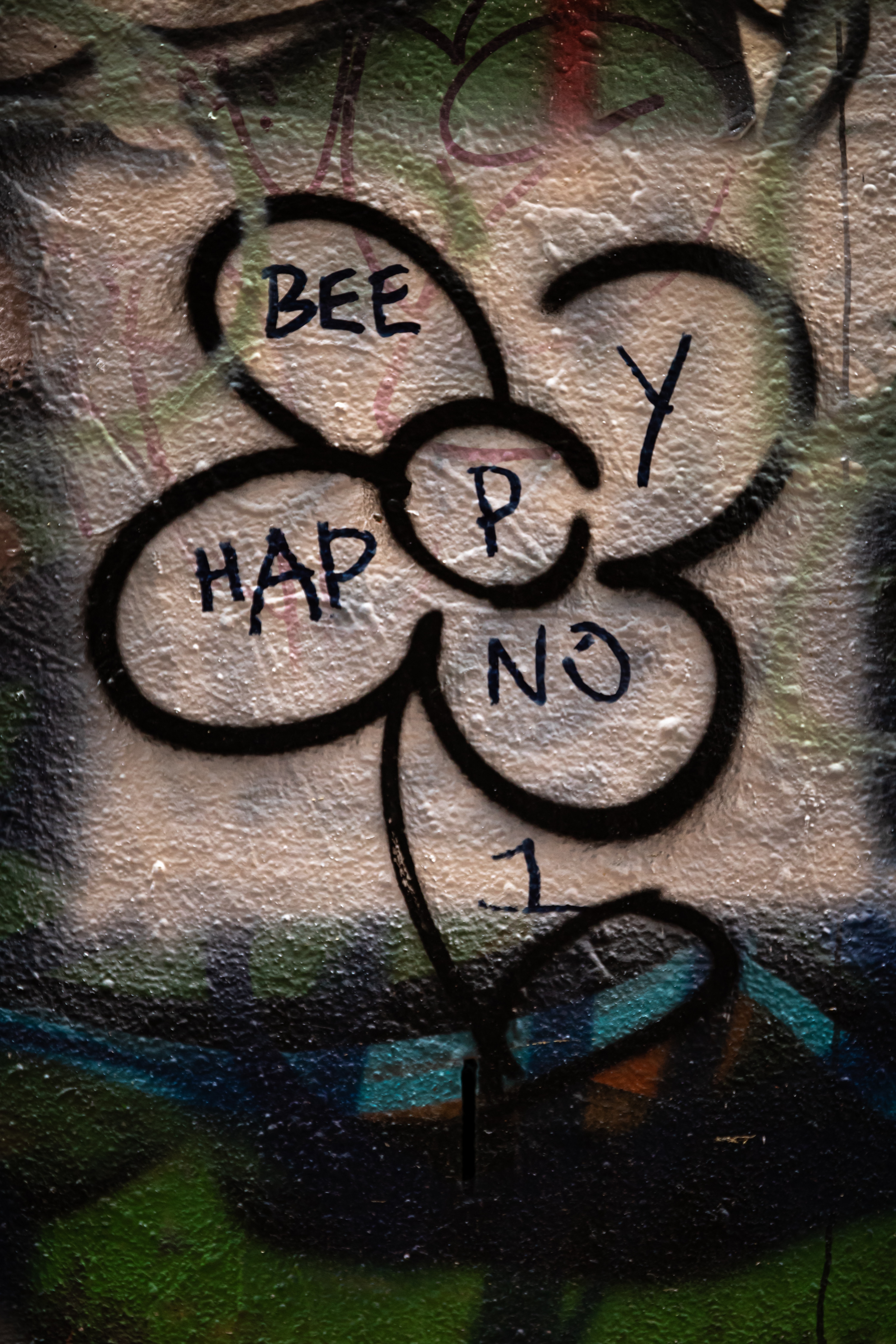 inscription, flower, words, wall High Definition image