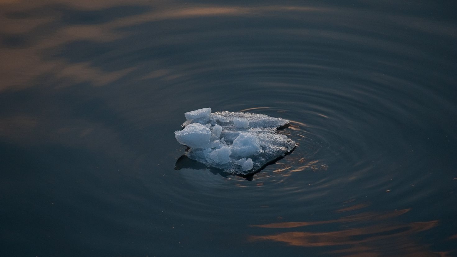 Лёд плавает на поверхности воды