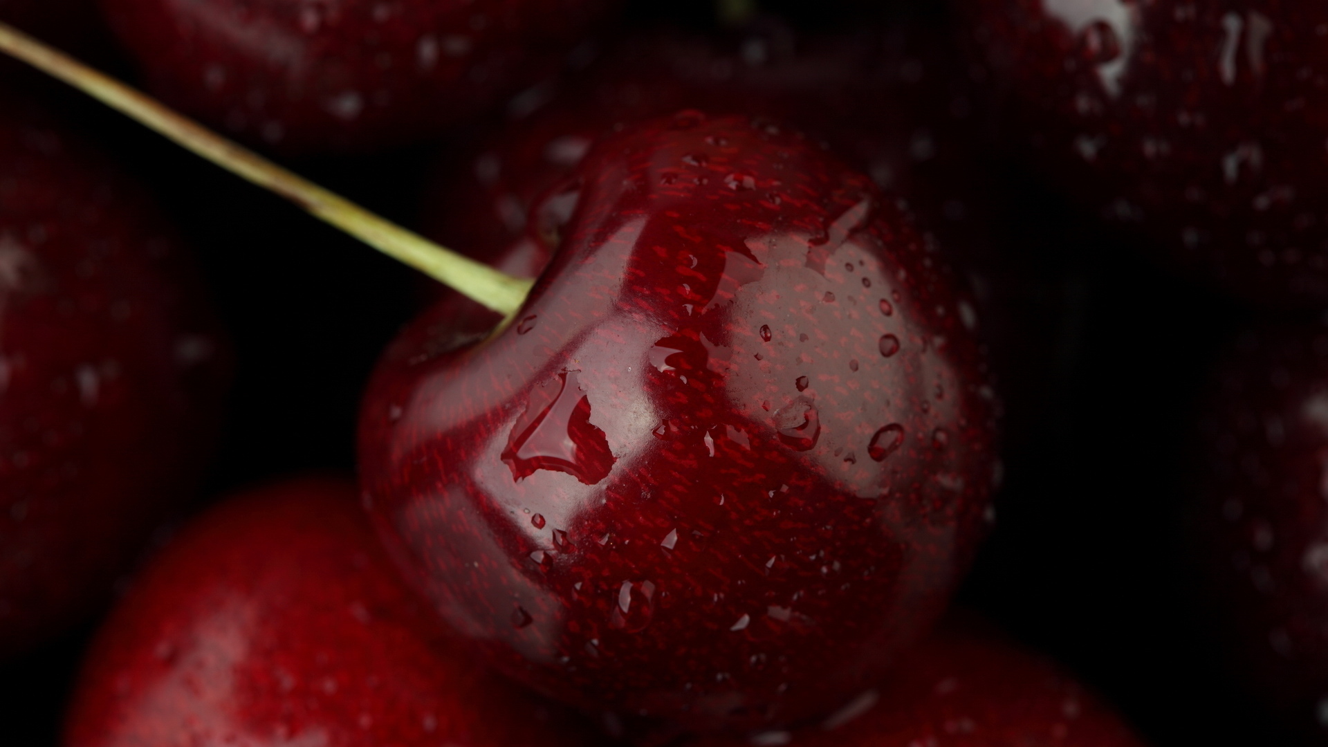 Скачать бесплатно картинку 30896: черешня, фрукты, еда, красные обои на телефон