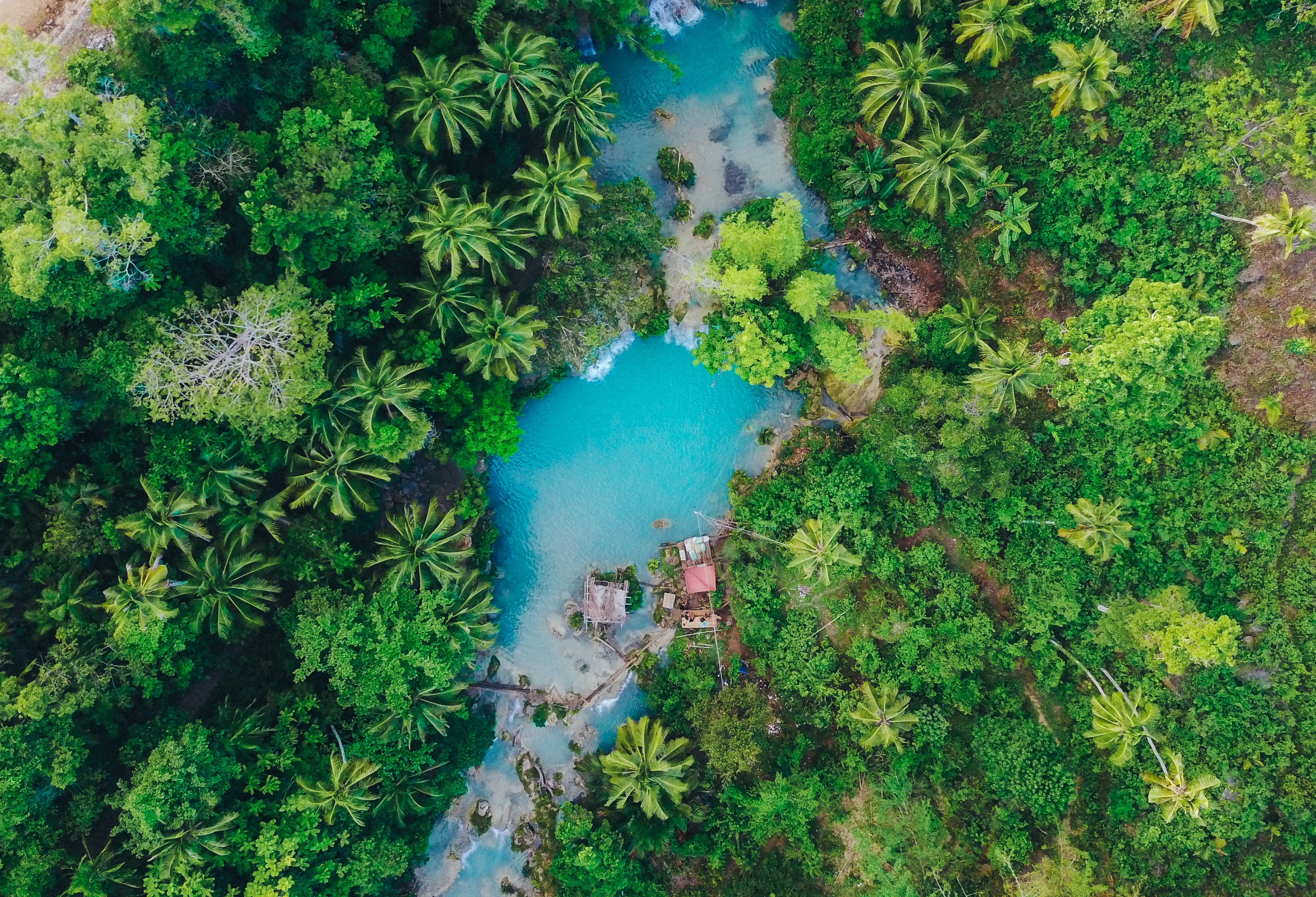 palms, nature, philippines, island, siquihor, view from above, sikihor, tropics HD wallpaper