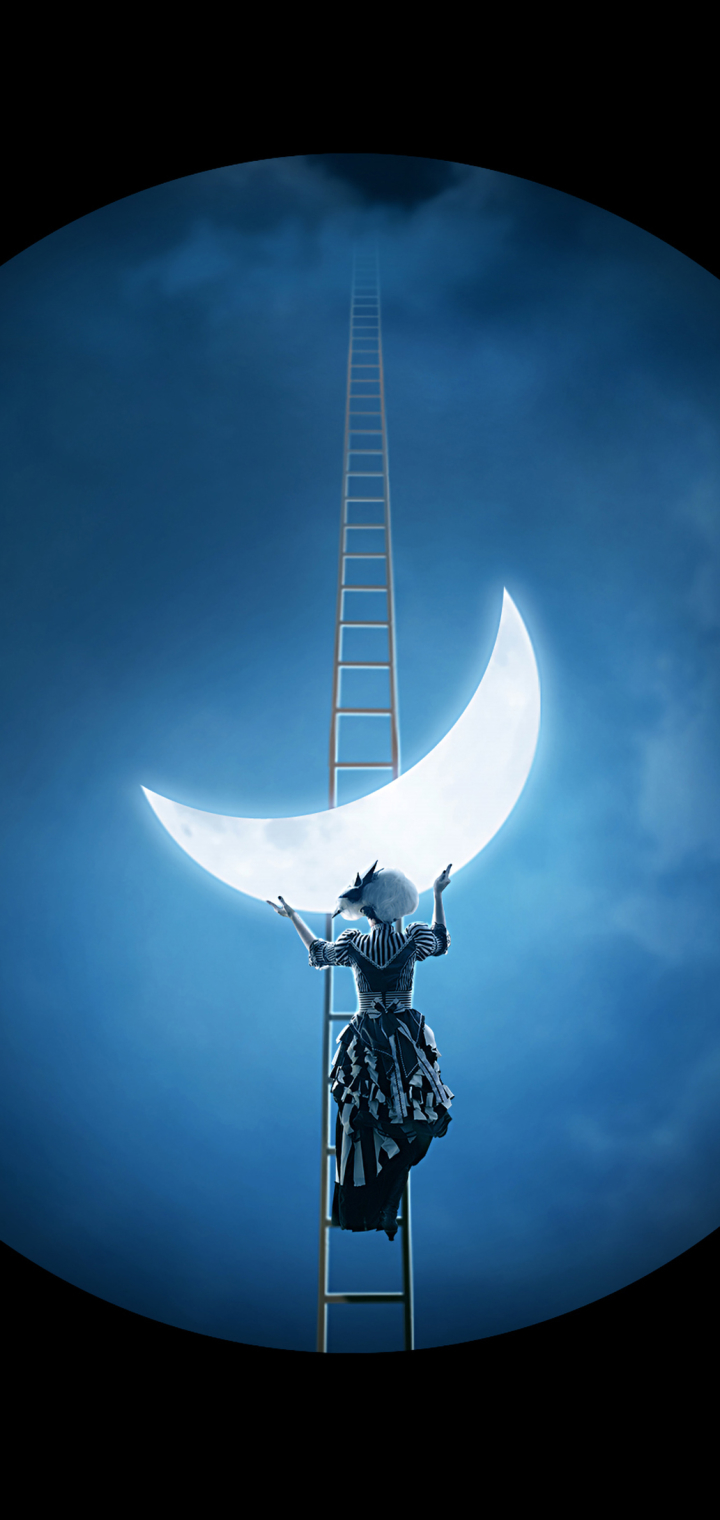 artistic, moon, crescent, ladder