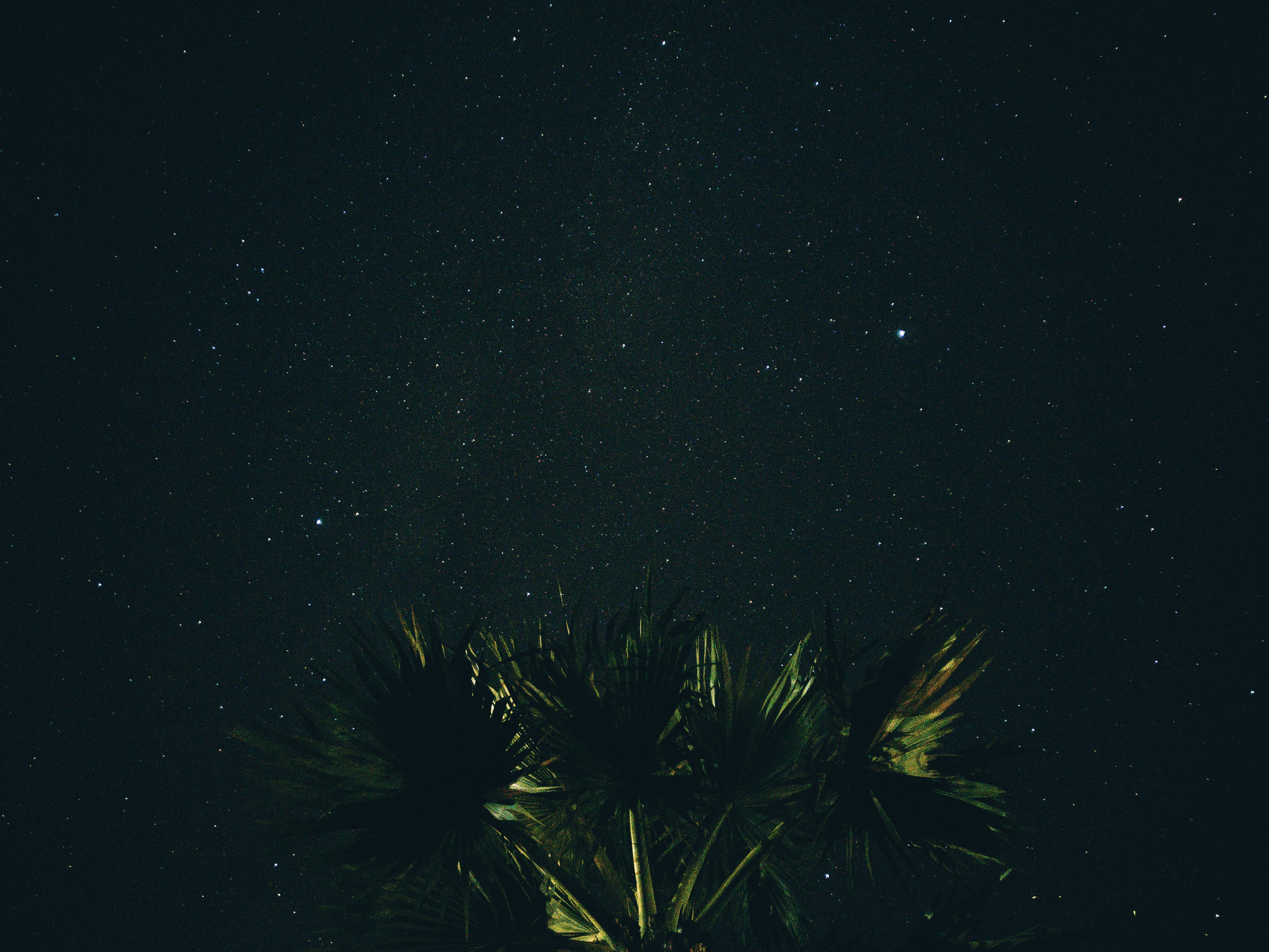 night, nature, starry sky Download background