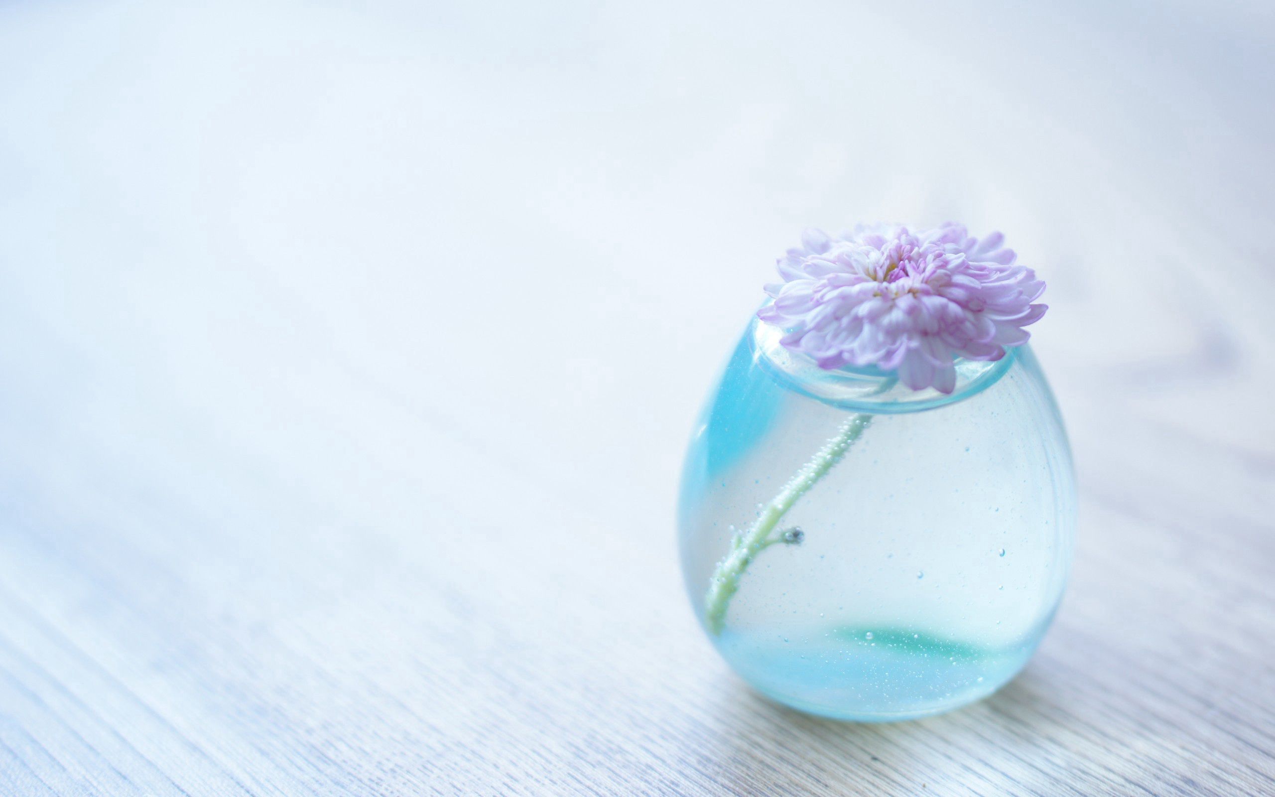 Laden Sie das Bank, Blume, Minimalismus, Glas, Jar, Vase-Bild kostenlos auf Ihren PC-Desktop herunter