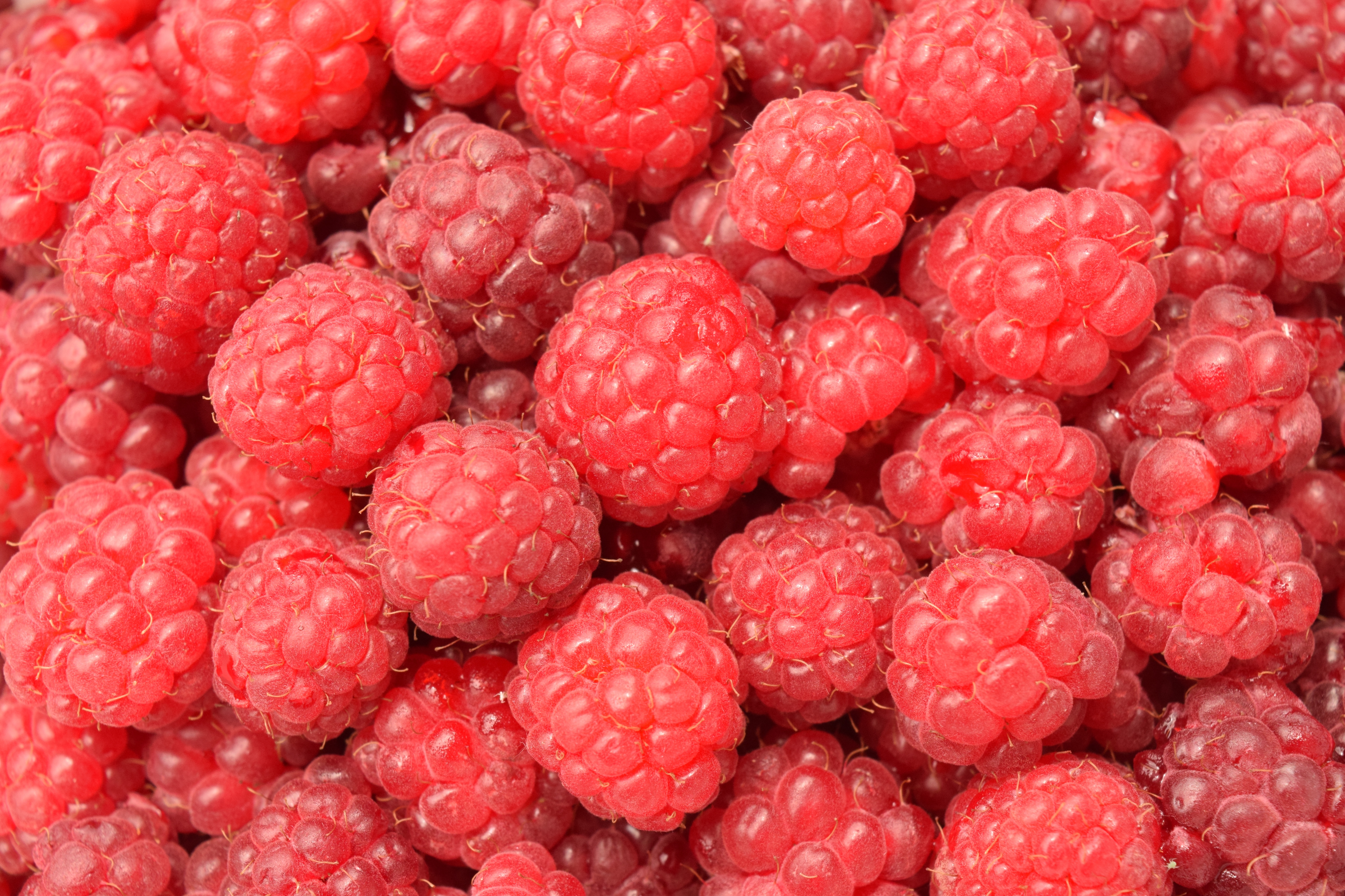 Smartphone Background food, lots of, multitude, berries