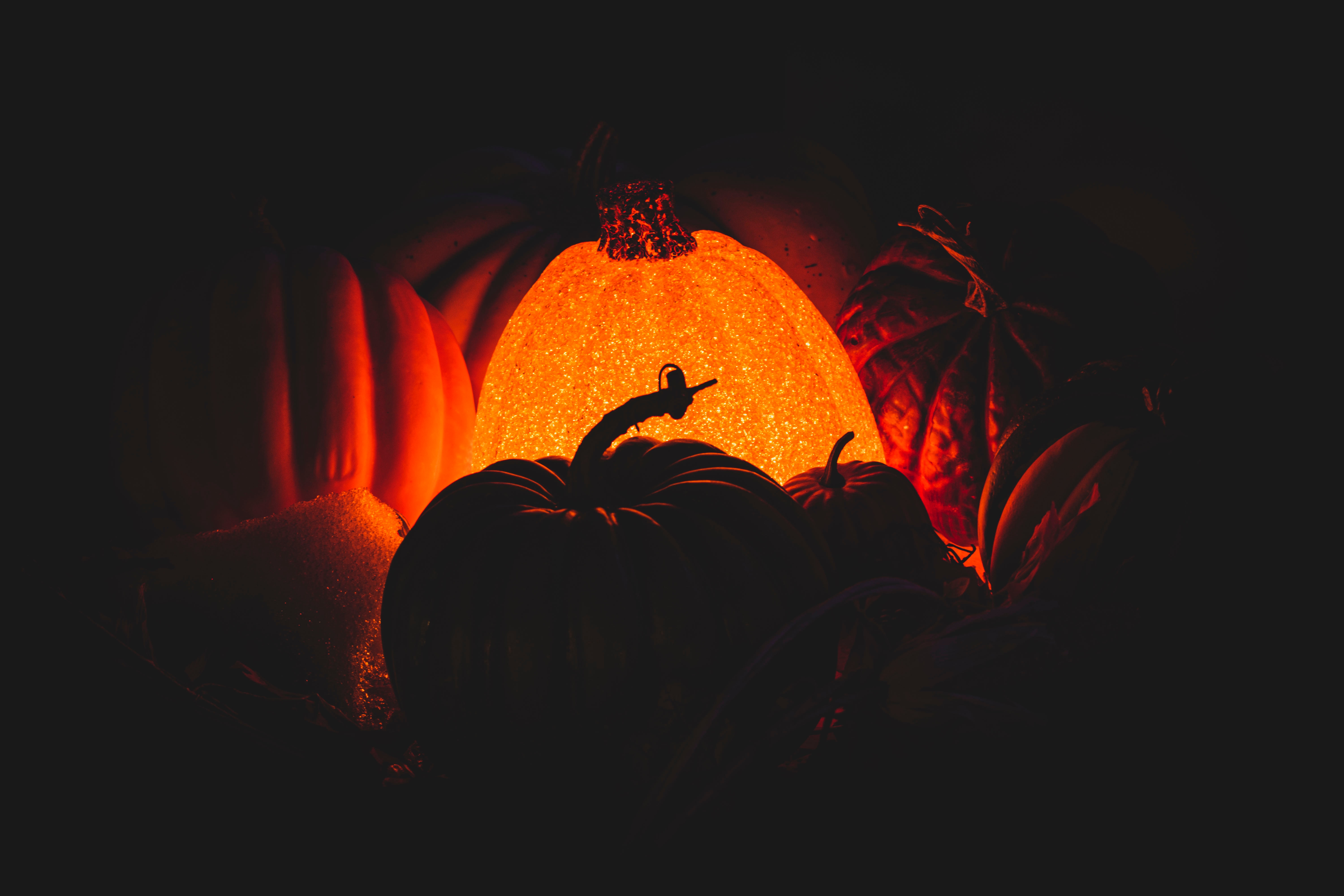 pumpkin, dark, darkness, glow