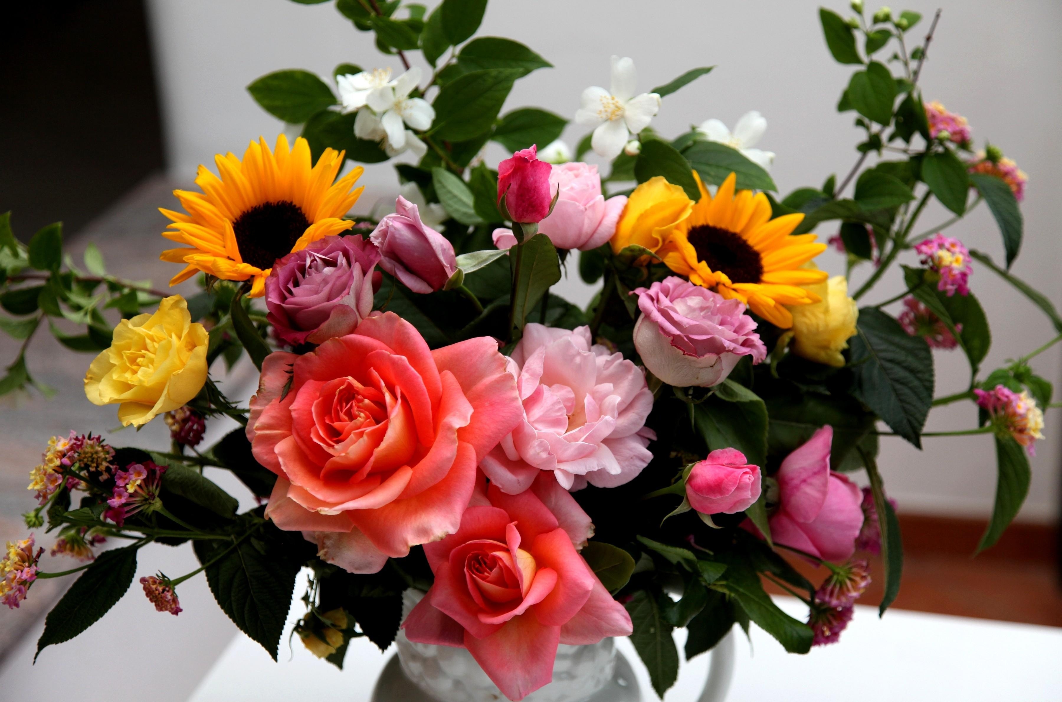 Handy-Wallpaper Komposition, Sonnenblumen, Blumen, Roses, Strauß, Bouquet, Vase, Zusammensetzung, Jasmin kostenlos herunterladen.