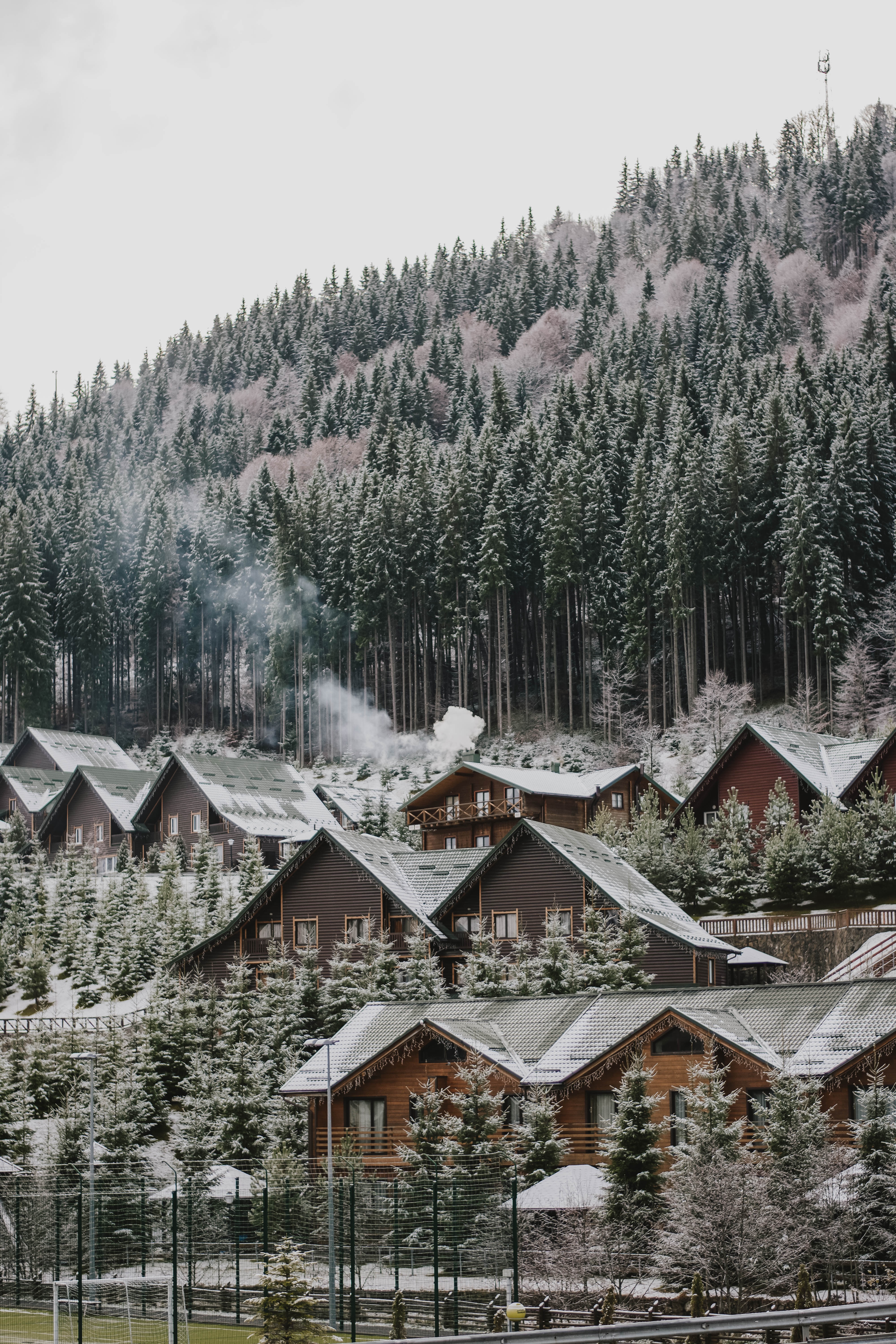 forest, nature, winter, houses, snow, slope 8K