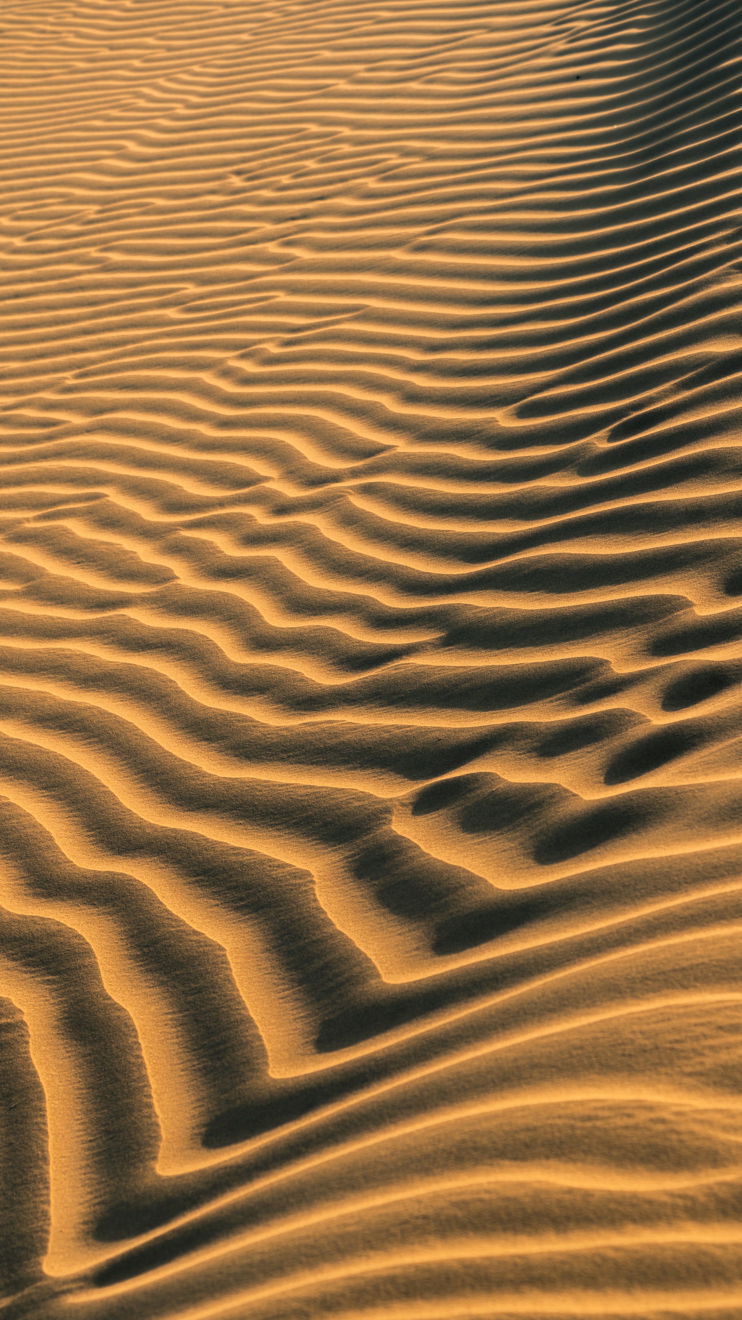 62018 Hintergrundbild herunterladen waves, sand, wüste, textur, texturen, spuren - Bildschirmschoner und Bilder kostenlos
