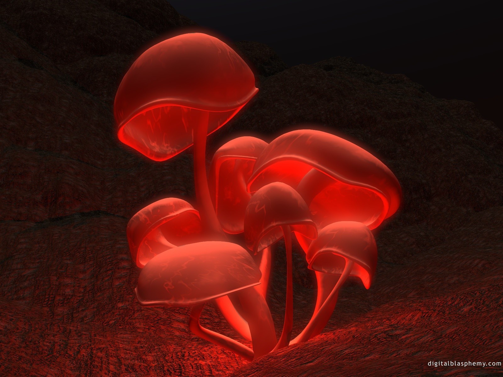 Laden Sie das Fantasie, Pilze-Bild kostenlos auf Ihren PC-Desktop herunter