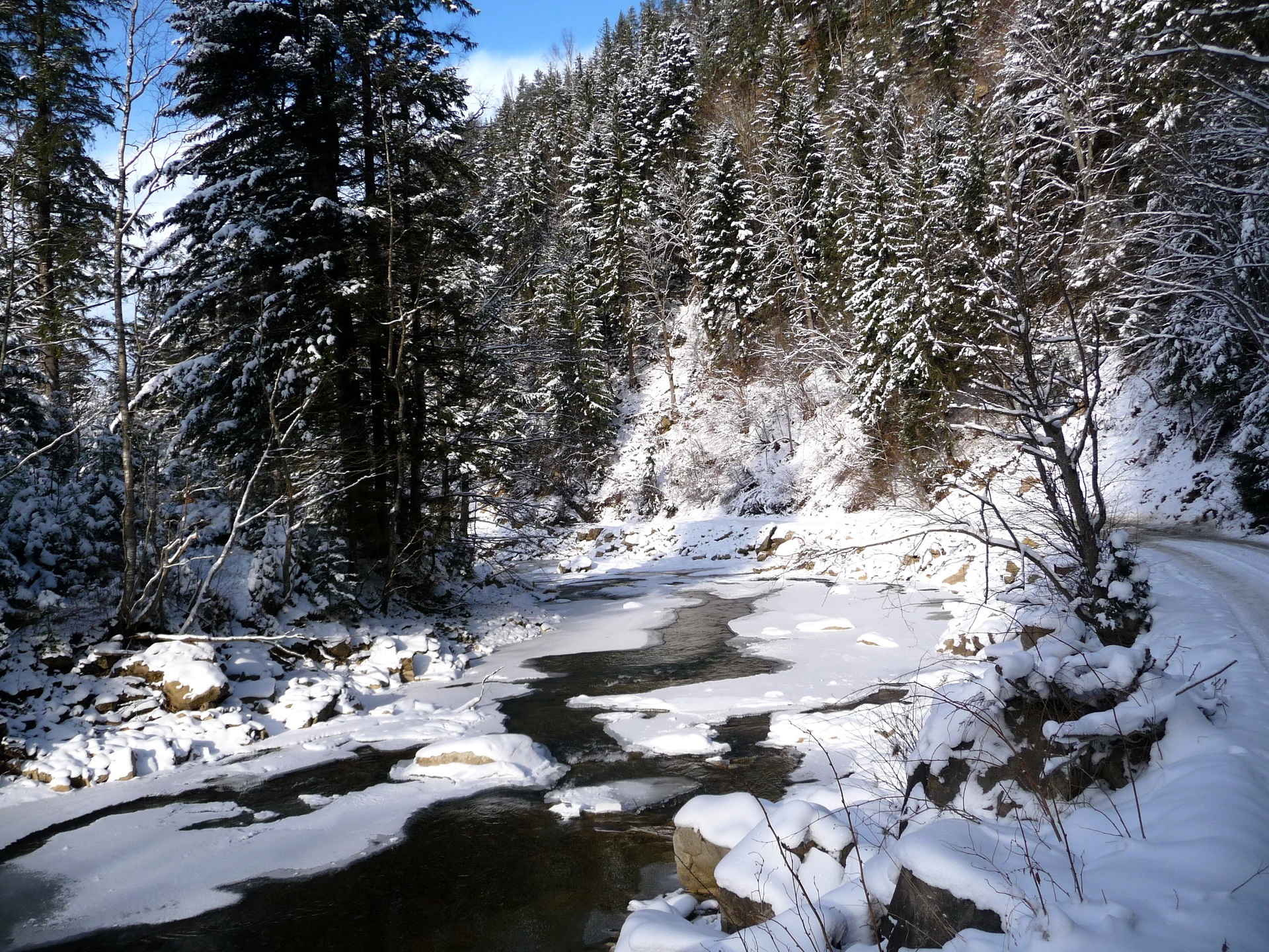 116637 Hintergrundbild herunterladen winter, natur, flüsse, bäume, schnee, aß, aßen, ukraine, karpaten - Bildschirmschoner und Bilder kostenlos