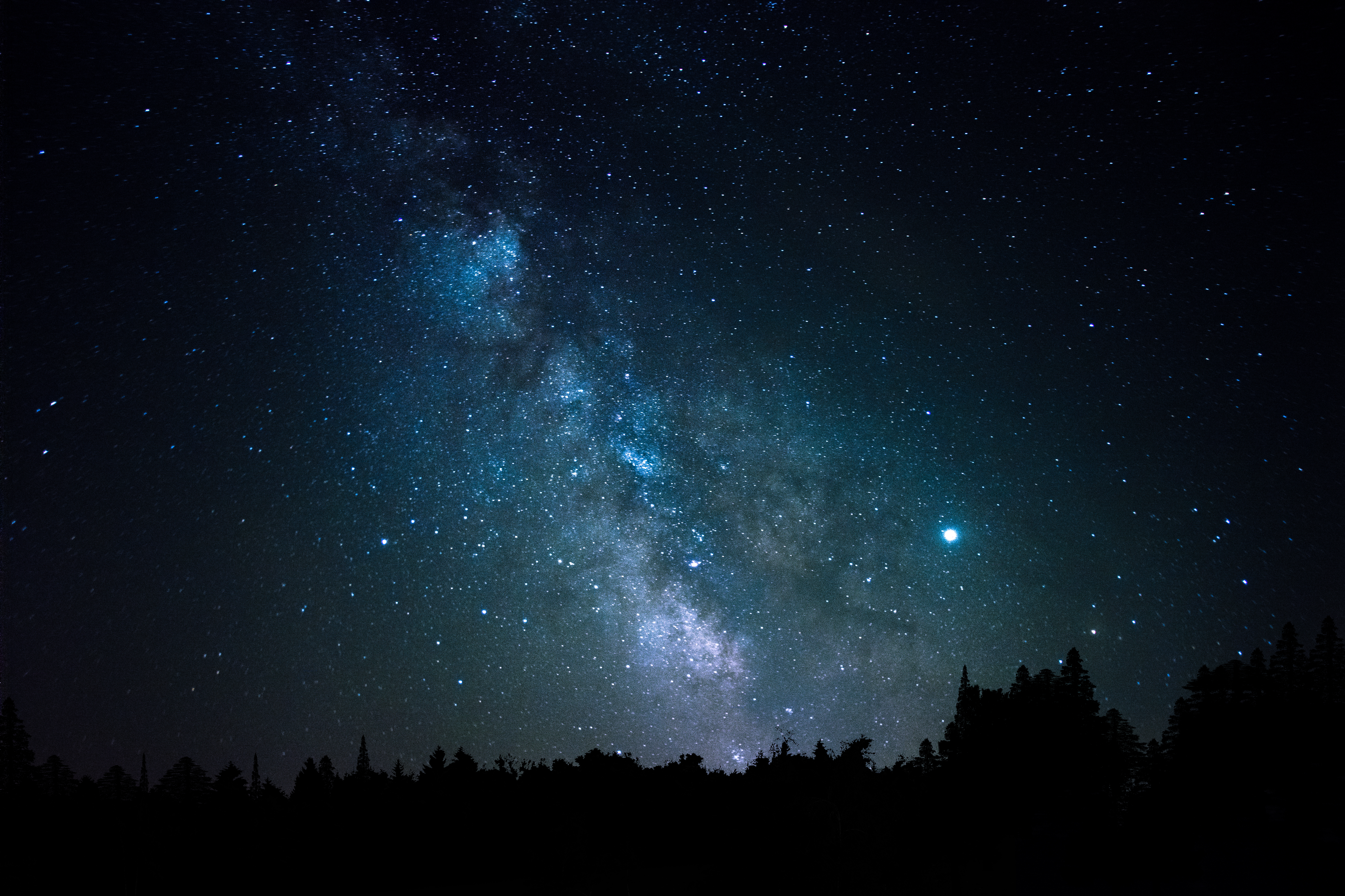 universe, trees, stars, constellation Free Stock Photo