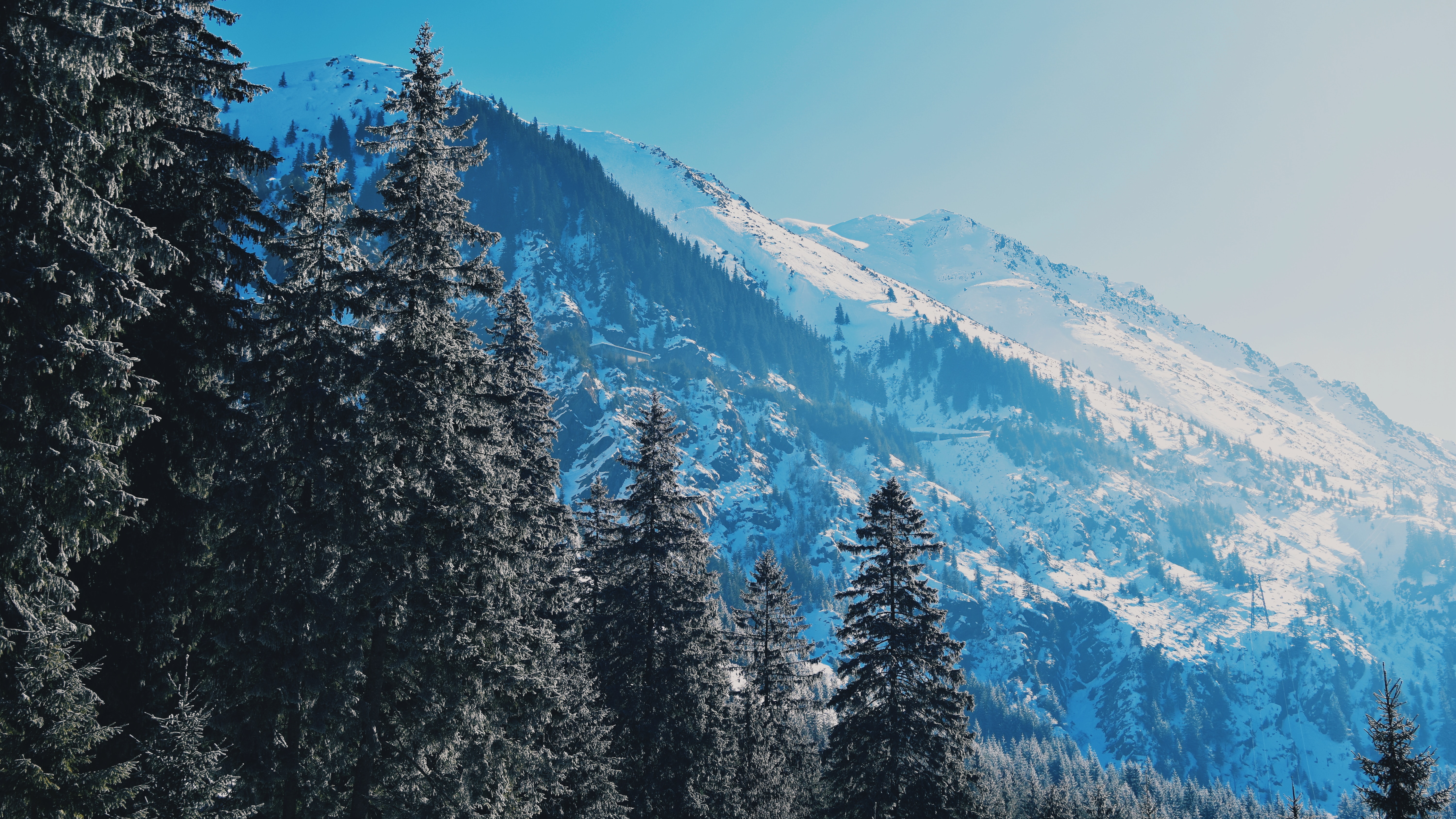 slopes, mountains, nature, trees, pine, snow covered, snowbound 4K Ultra