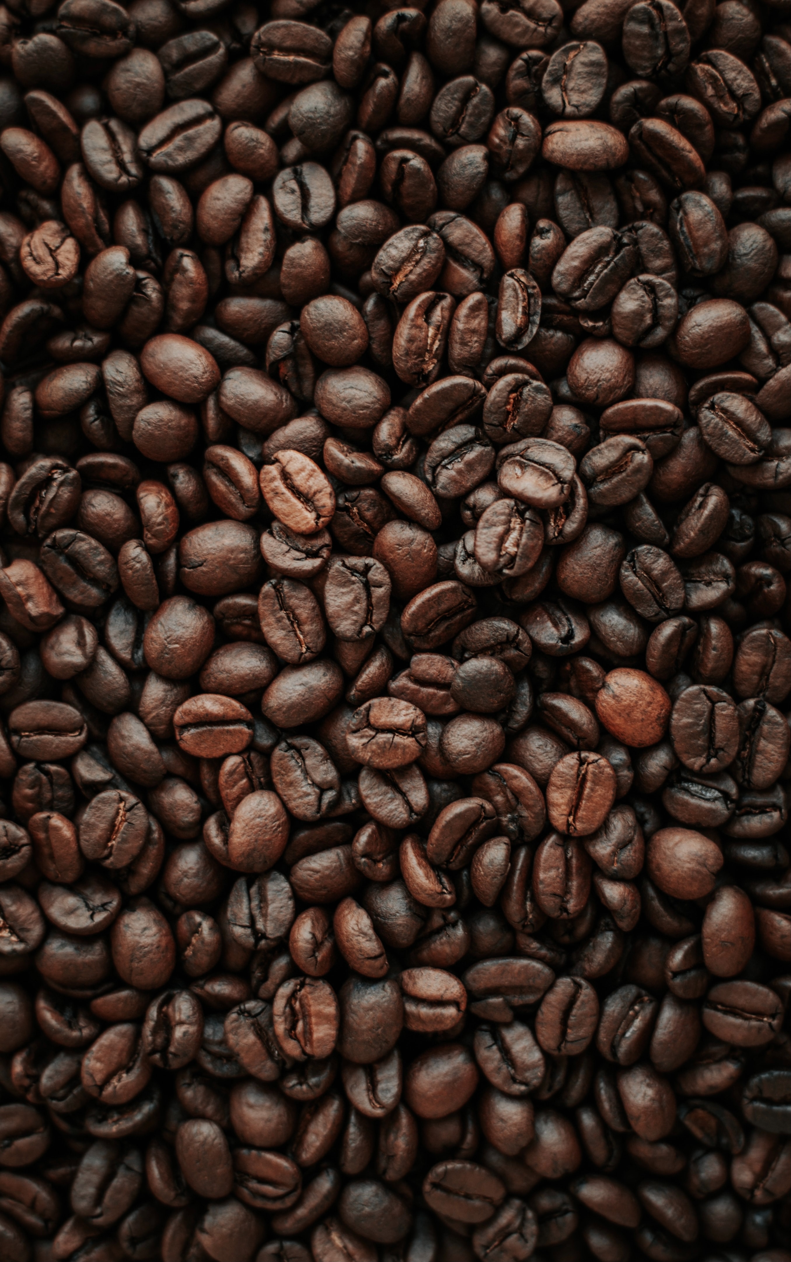 HD wallpaper coffee beans, macro, coffee, food, brown, grains, grain, roasting