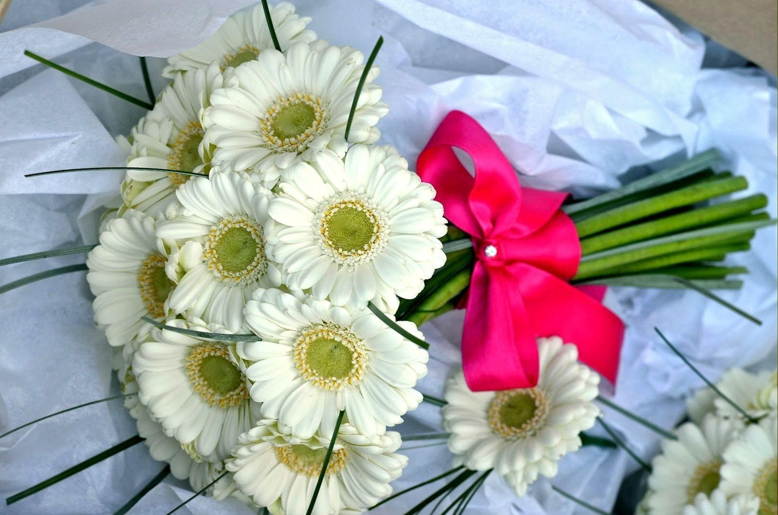 64729 download wallpaper flowers, gerberas, white, bouquet, bow, handsomely, it's beautiful, snow white screensavers and pictures for free