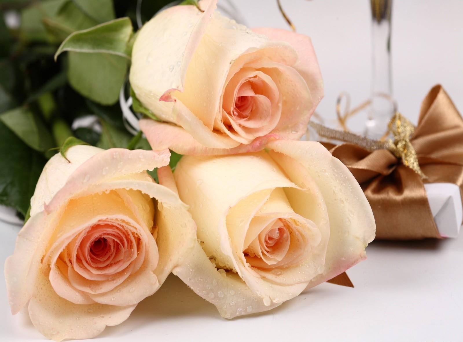 flowers, roses, drops, bouquet, freshness, present, gift, surprise