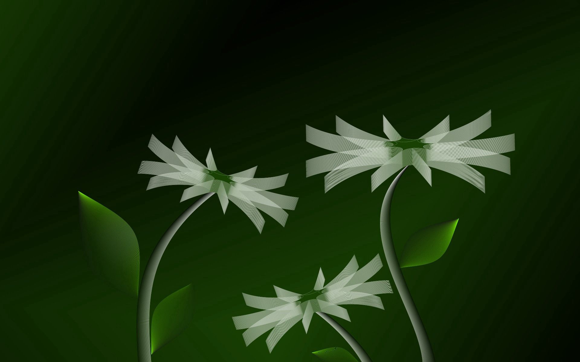 Desktop Backgrounds Stalk lines, stem, flowers, abstract