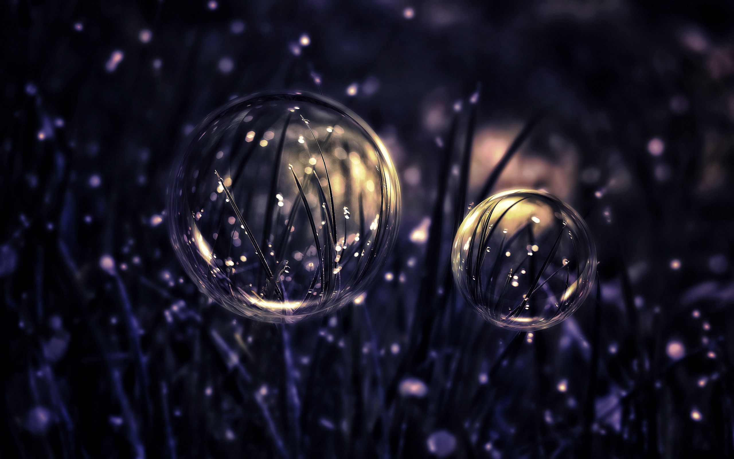 drops, dark, grass, bubbles 32K