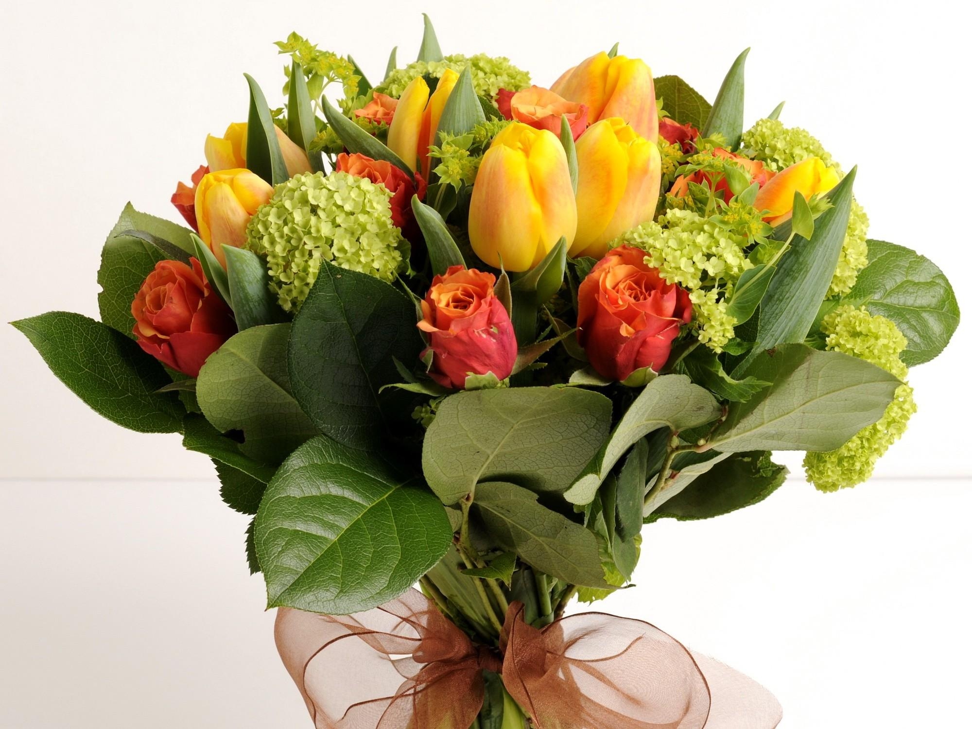 107026 Hintergrundbild herunterladen tulpen, blumen, roses, strauß, bouquet, bogen, hortensien - Bildschirmschoner und Bilder kostenlos