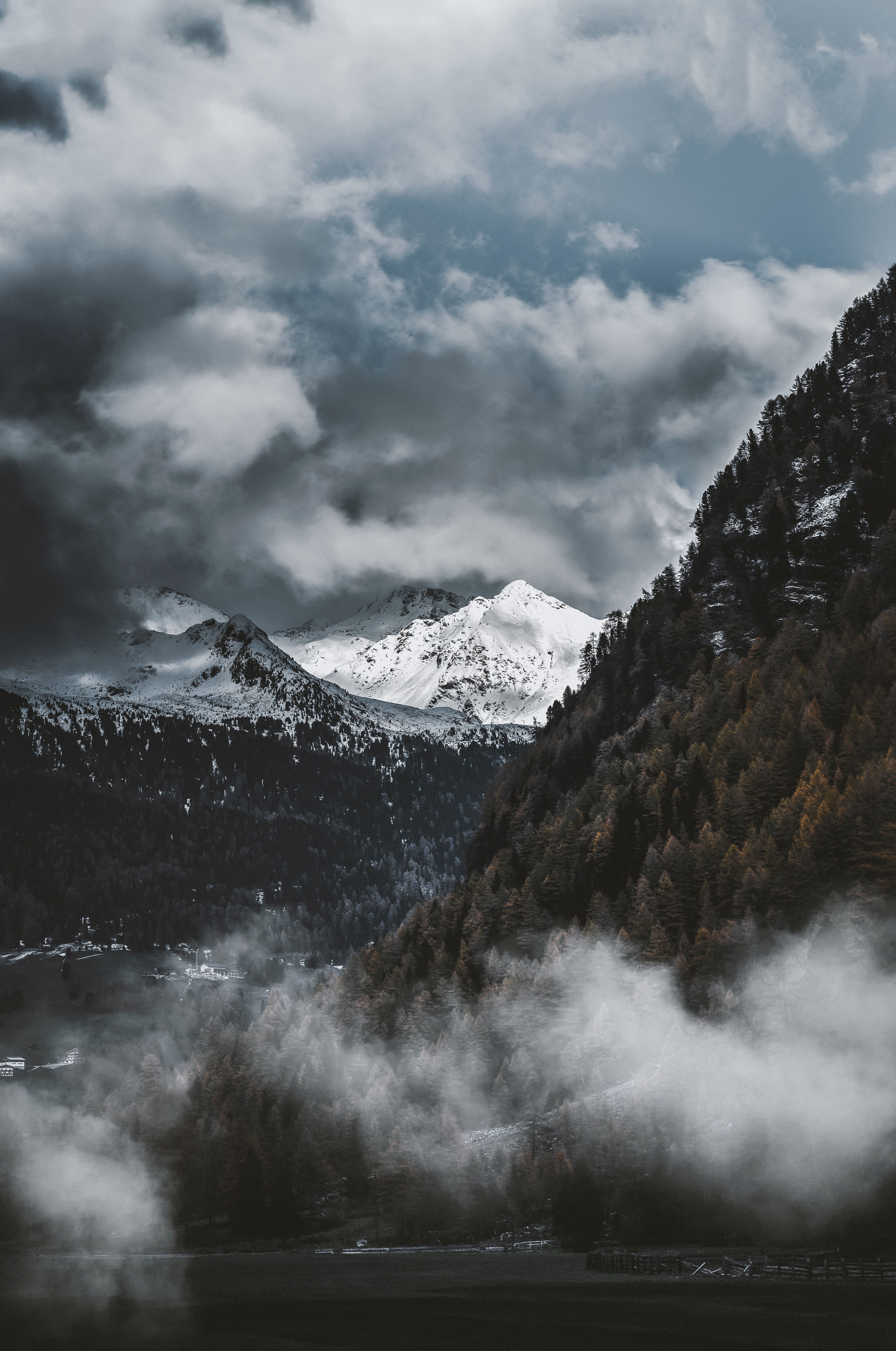 nature, trees, mountains, vertex, fog, tops, snow covered, snowy