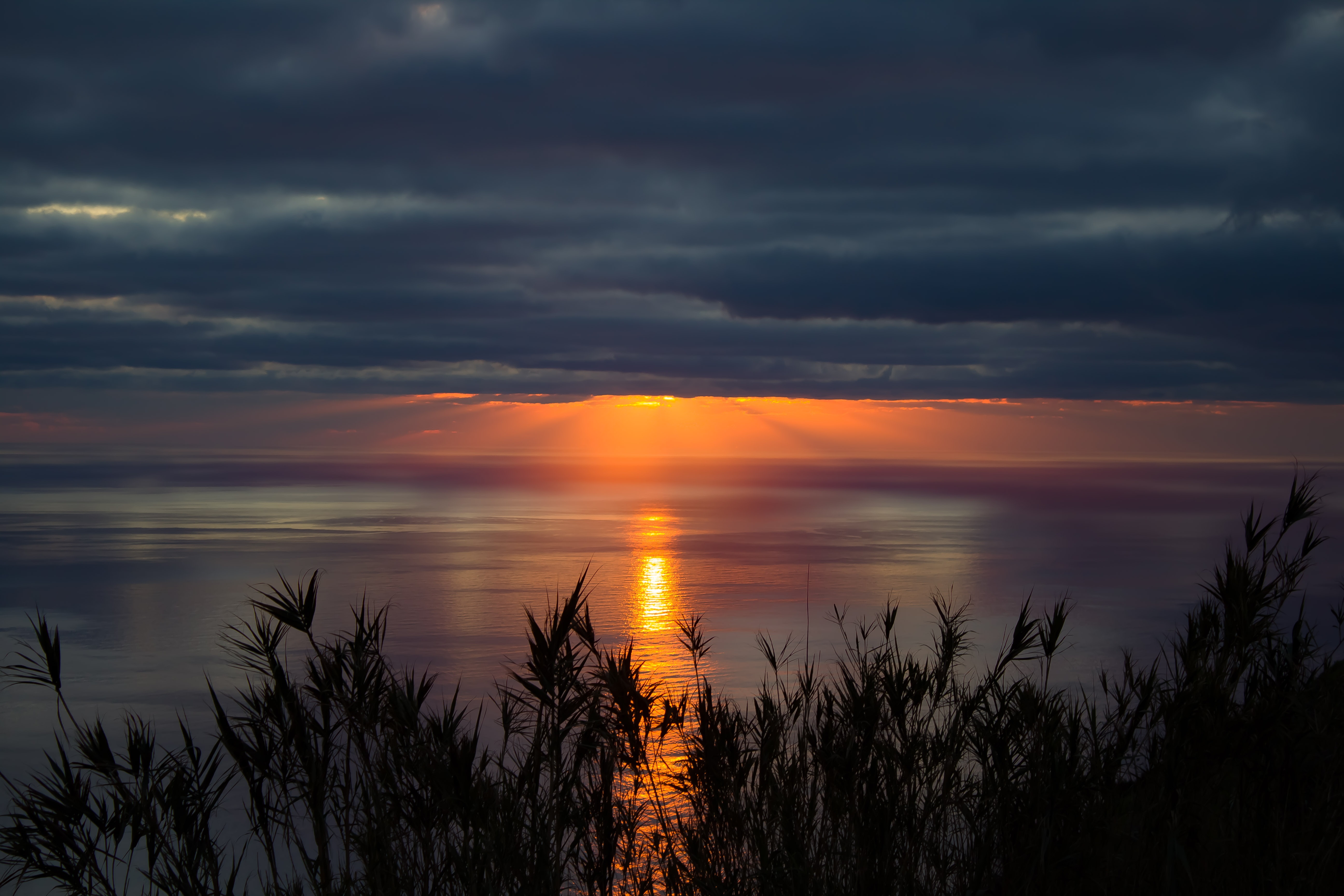 nature, sunset, grass, sea, twilight, clouds, horizon, dusk Phone Background