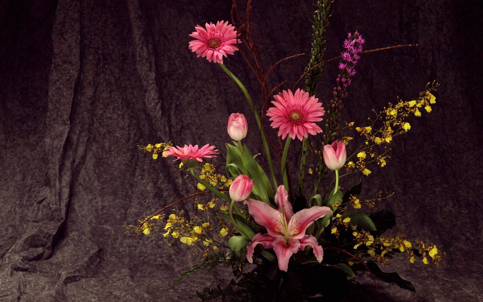 tulips, gerberas, flowers, lily, composition, ikebana