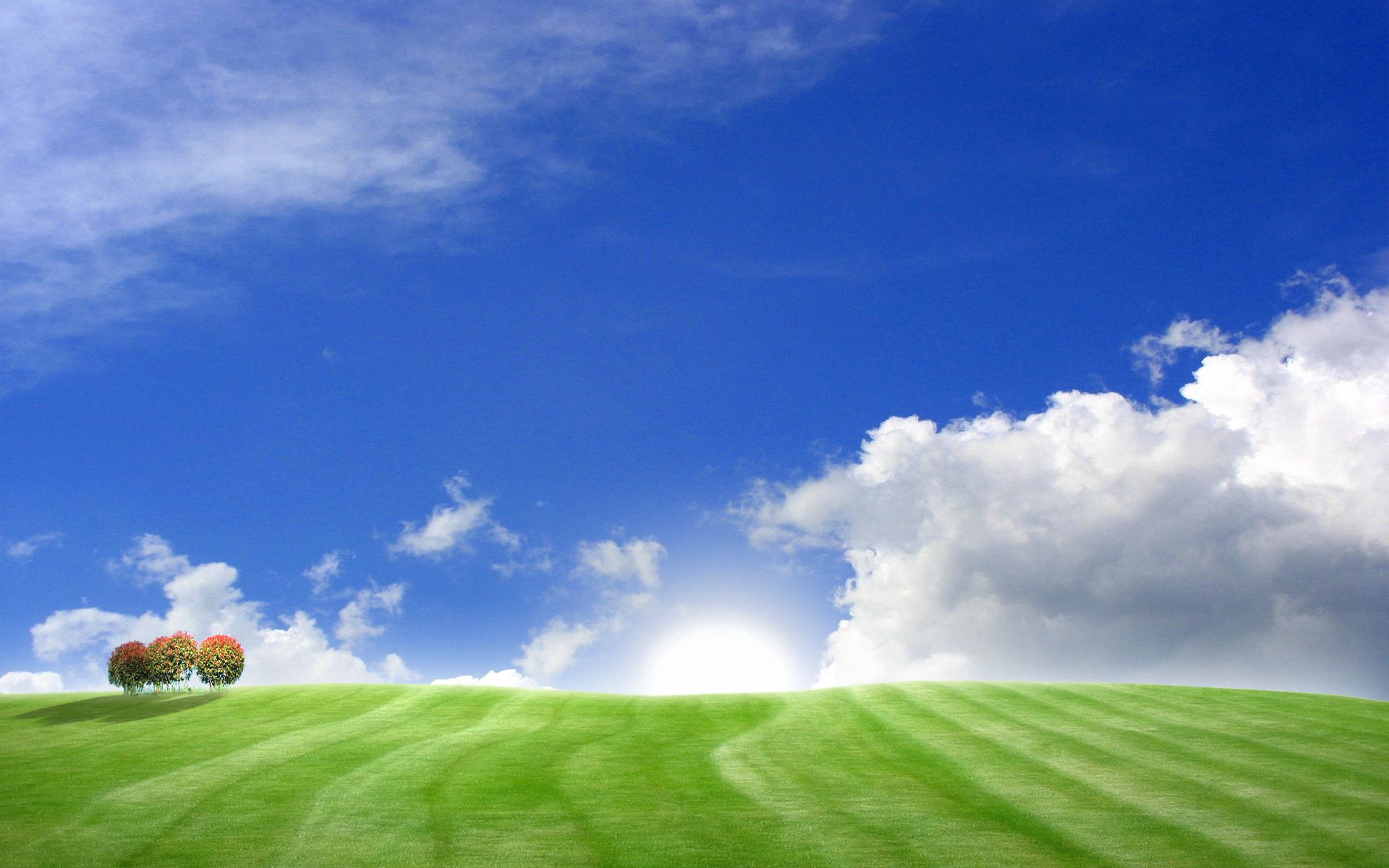 clouds, meadows, trees, sky download for free