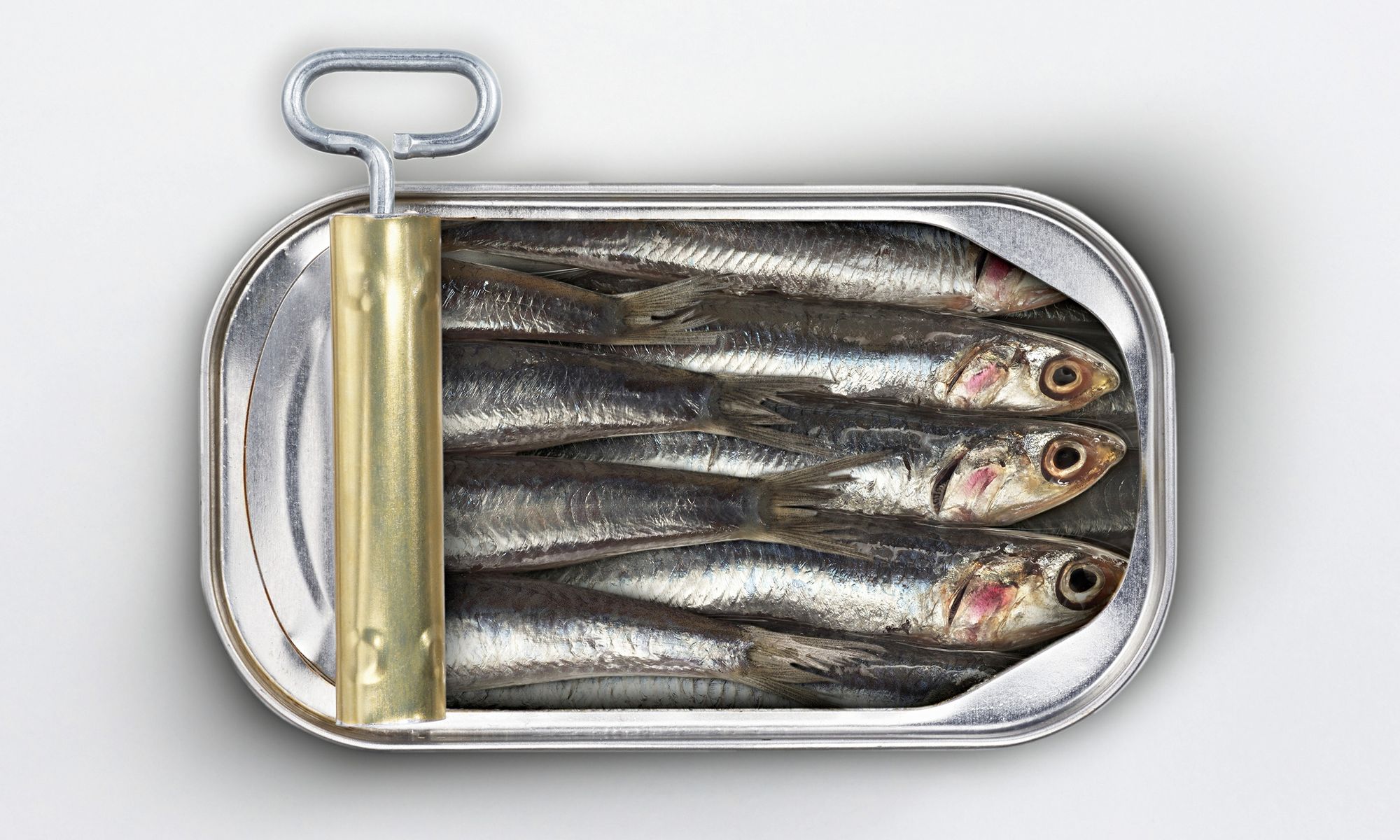 Calorias sardinas