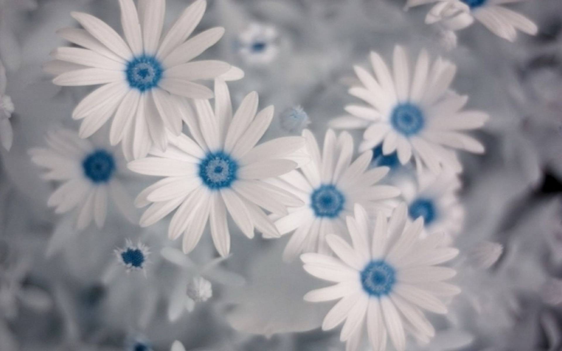 Tìm kiếm một hình nền hoa đẹp để làm mới màn hình điện thoại hoặc máy tính của bạn? Chiêm ngưỡng hình ảnh liên quan và được hòa mình vào màu sắc tươi tốt của những bông hoa đầy sức sống. Điều này sẽ đem đến sự vui vẻ và hạnh phúc cho bạn.