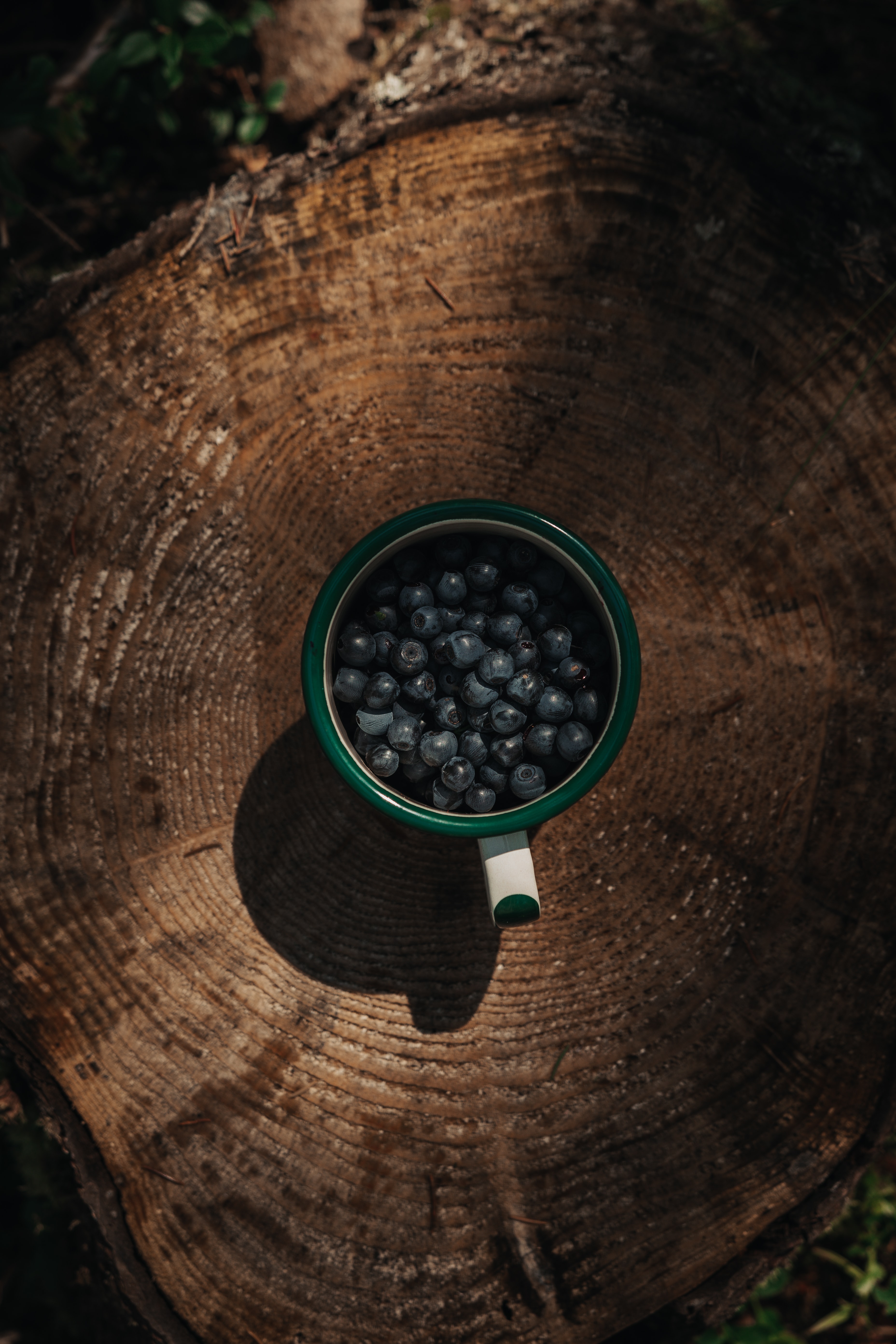 berries, bilberries, stump, mug Free HD pic