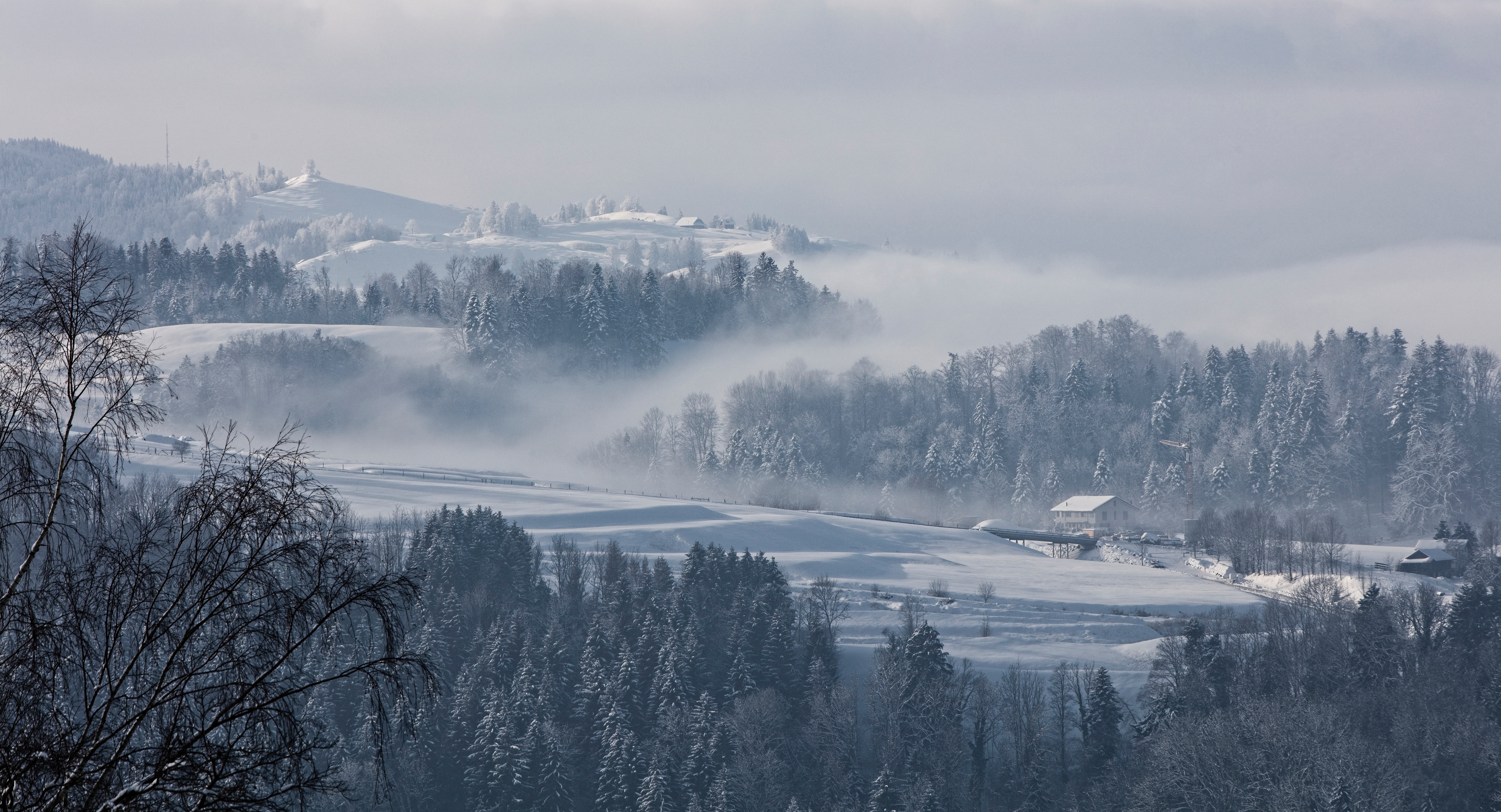 118998 Bildschirmschoner und Hintergrundbilder Schweiz auf Ihrem Telefon. Laden Sie winter, natur, bäume, schnee, nebel, fir, schweiz, tanne Bilder kostenlos herunter