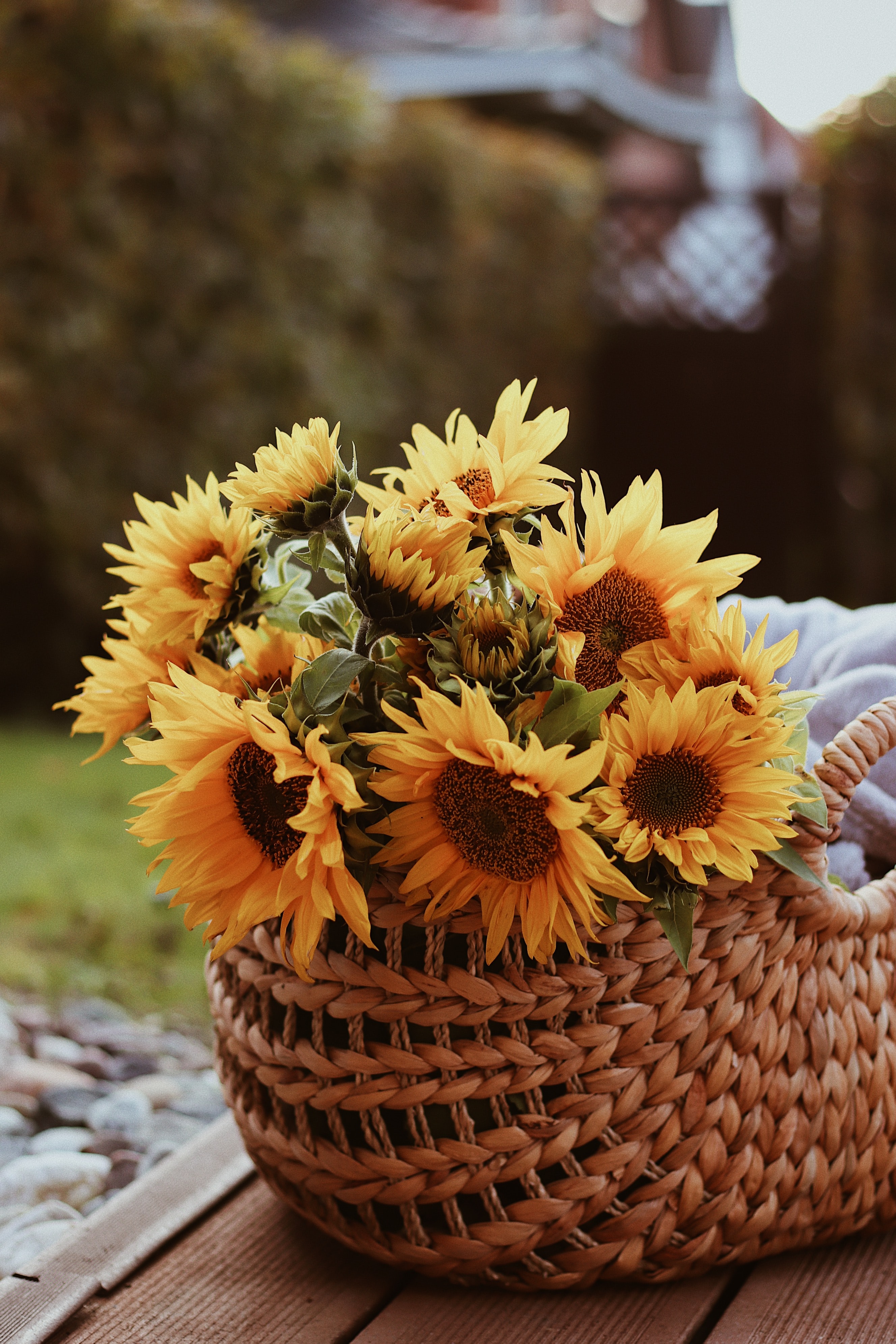 65322 download wallpaper bouquet, flowers, basket, sunflower screensavers and pictures for free
