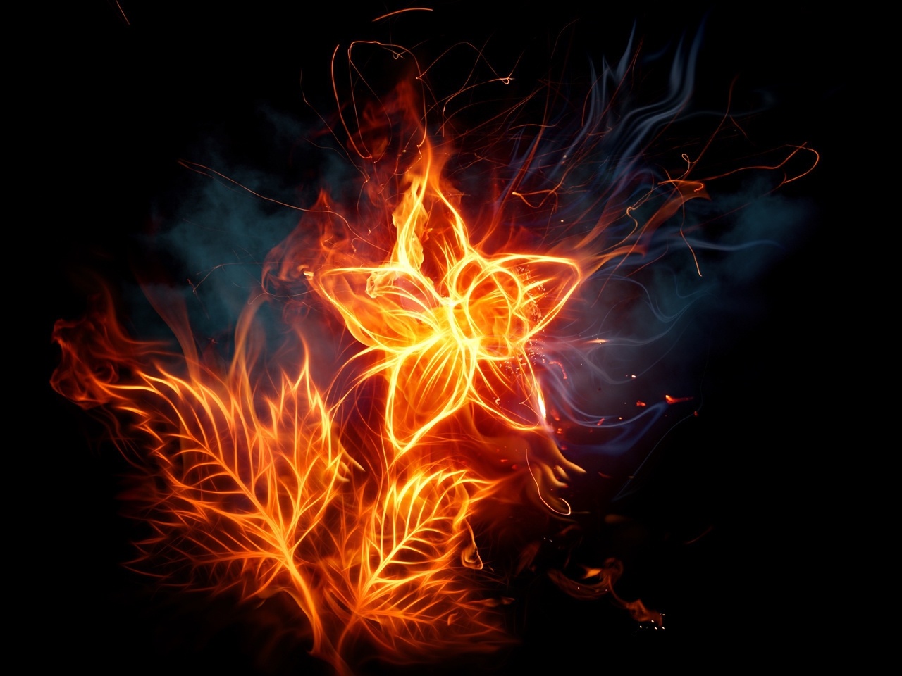 fire, flowers, background cellphone