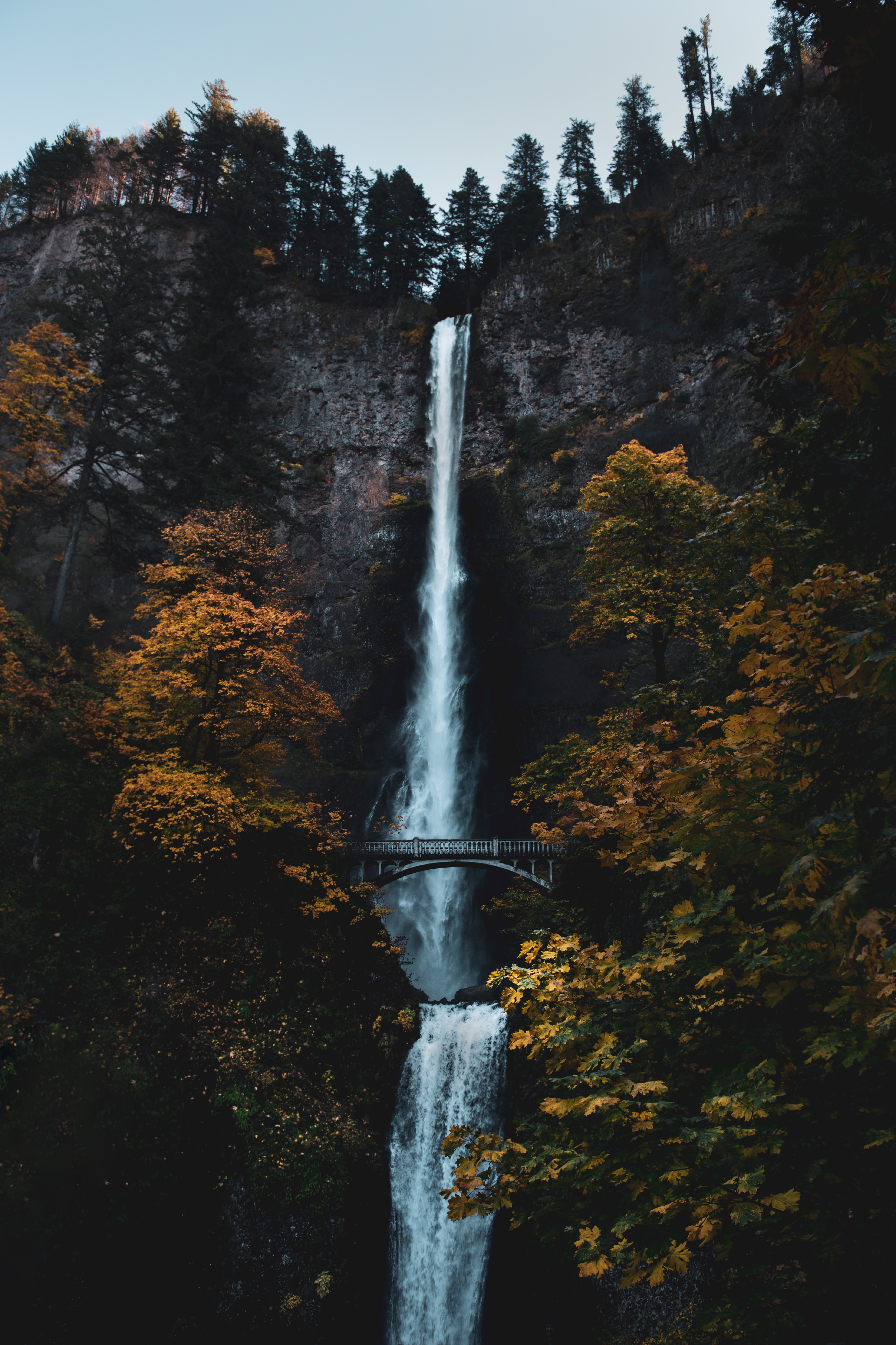 waterfall, nature, trees, rock, precipice, break, bridge HD wallpaper