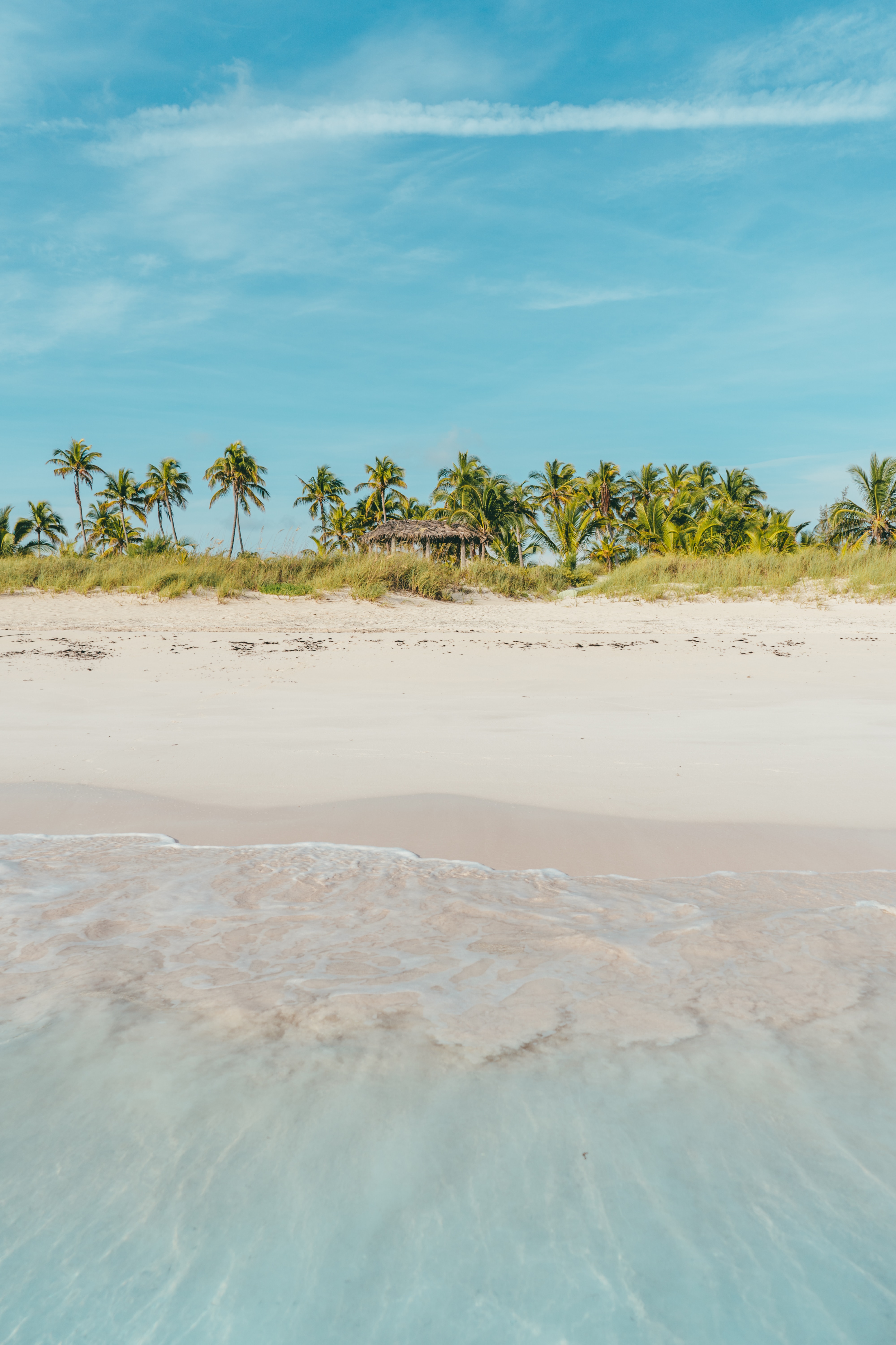 tropics, palms, beach, bank, nature, shore, ocean Phone Background