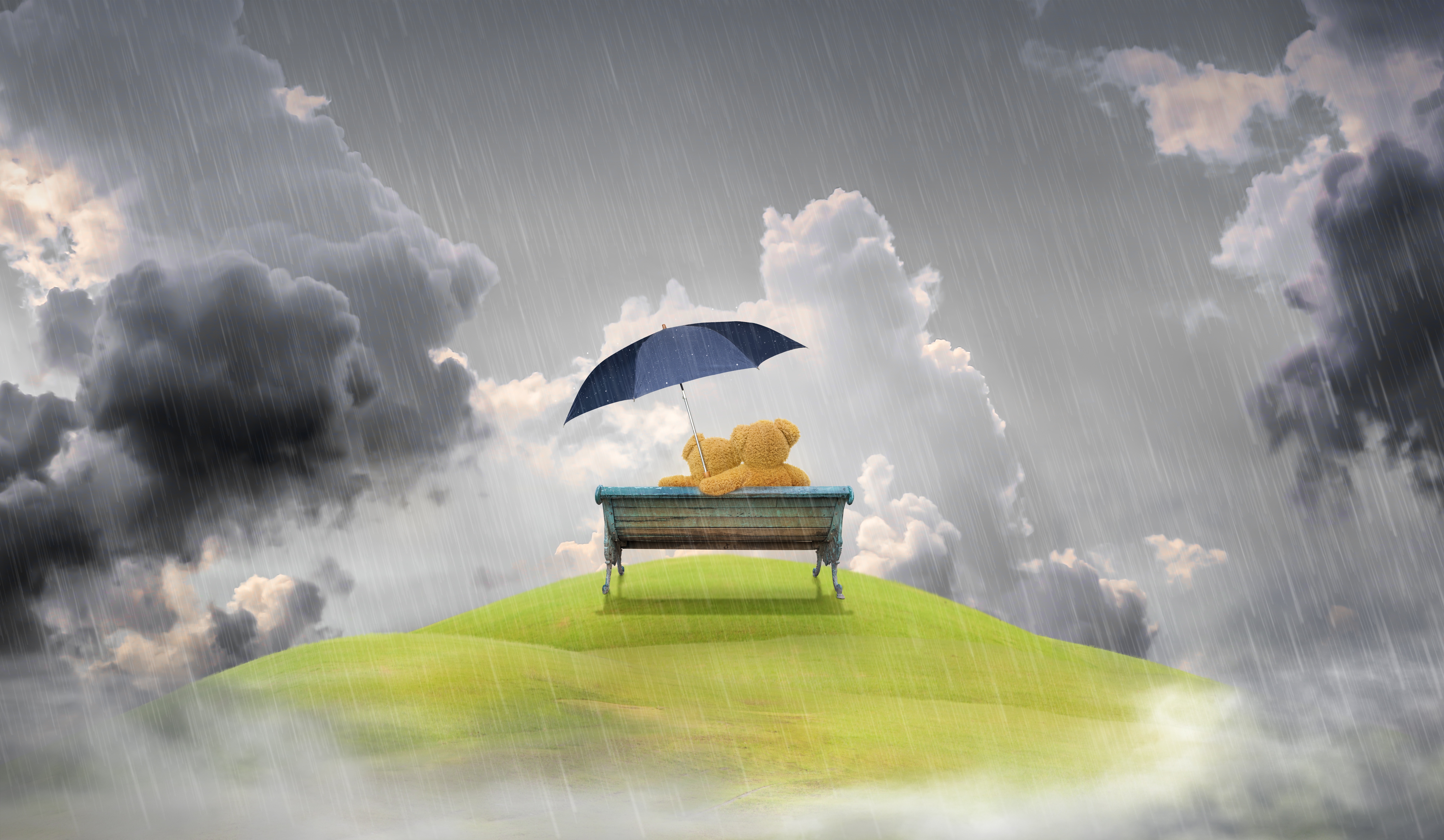 116958 download wallpaper rain, love, teddy bear, bench screensavers and pictures for free