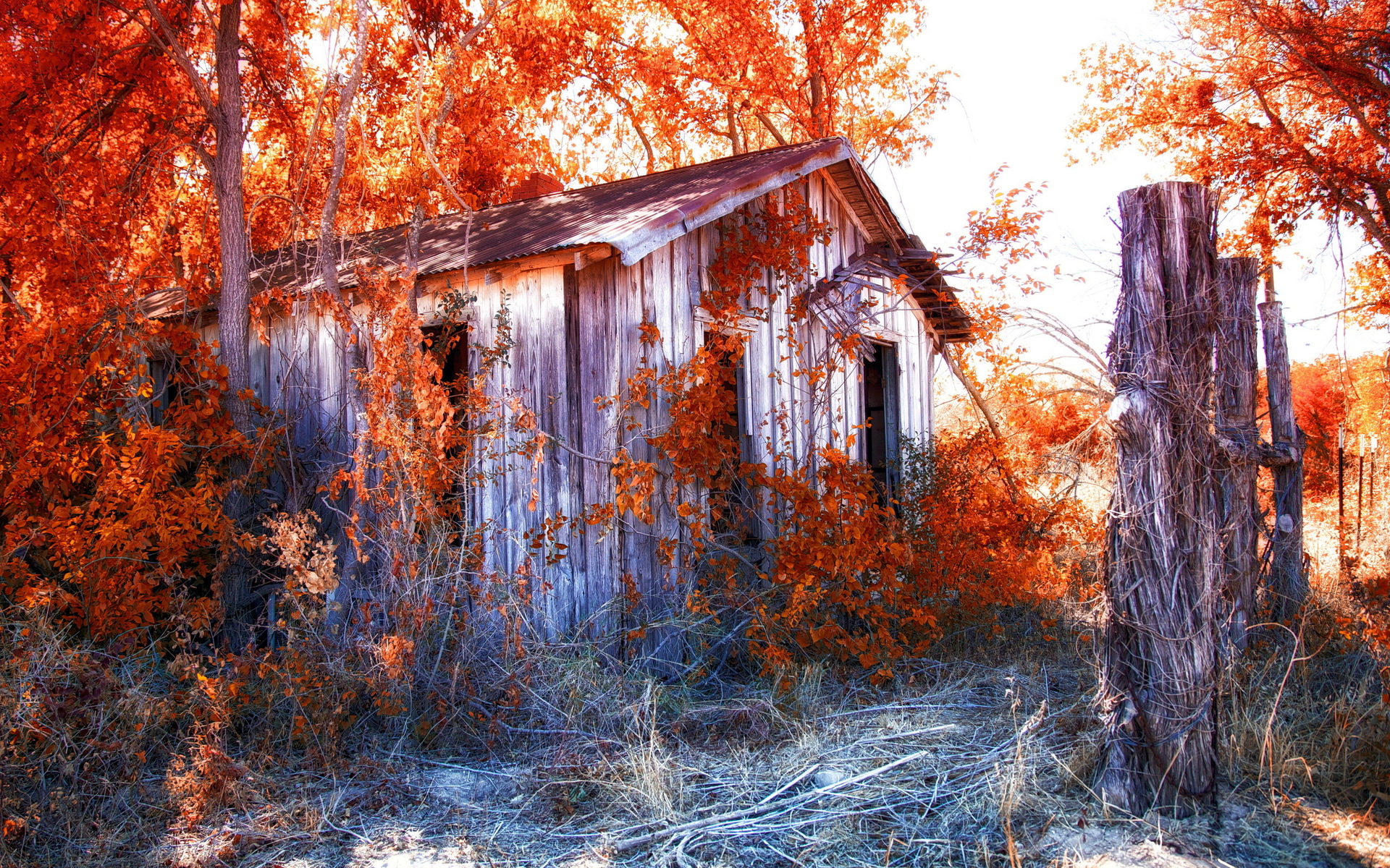 HD desktop wallpaper: Nature, Leaf, Fall, Barn, Season, Man Made download  free picture #550096