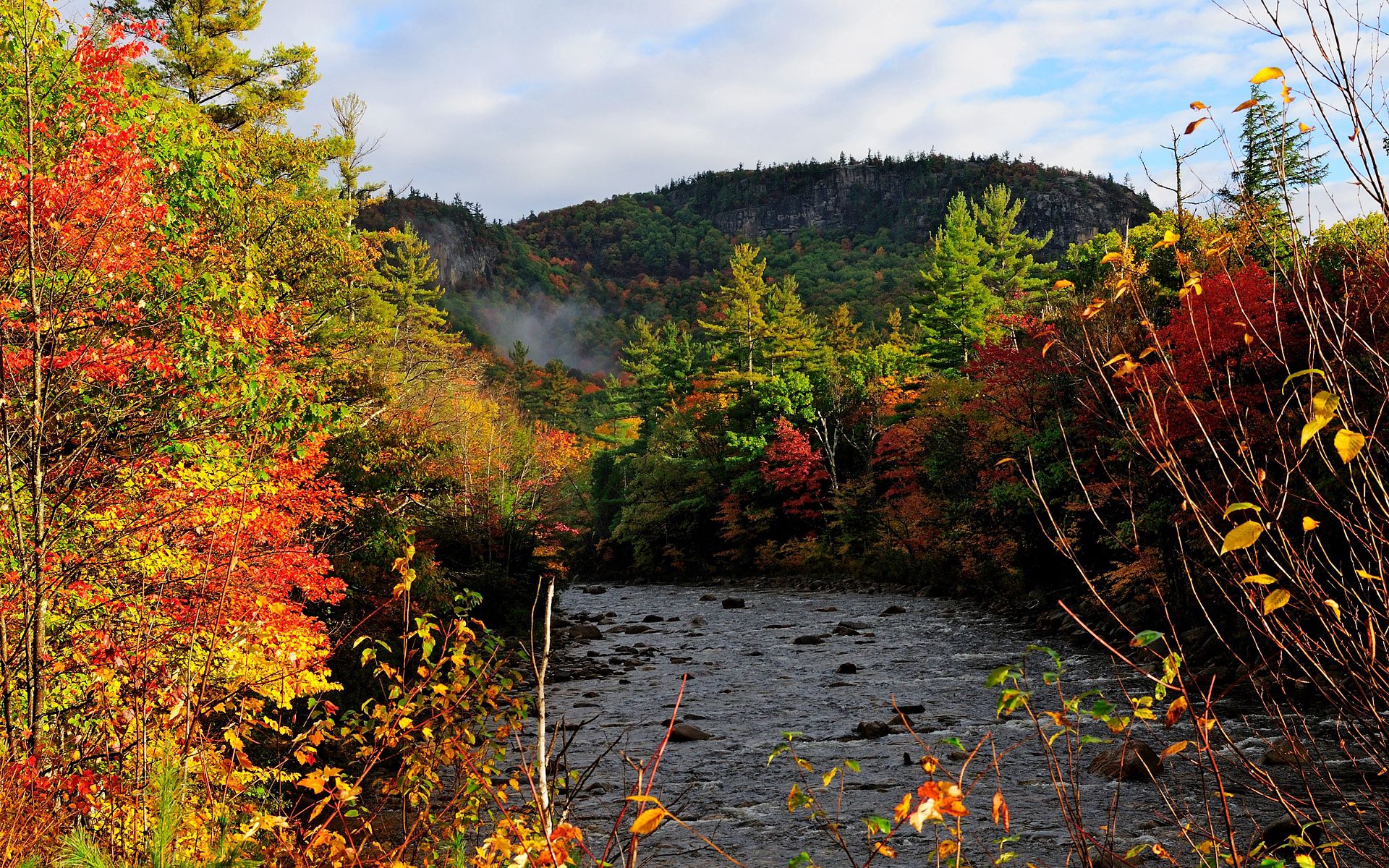 Laden Sie das Flüsse, Natur, Bäume, Herbst, Wald-Bild kostenlos auf Ihren PC-Desktop herunter