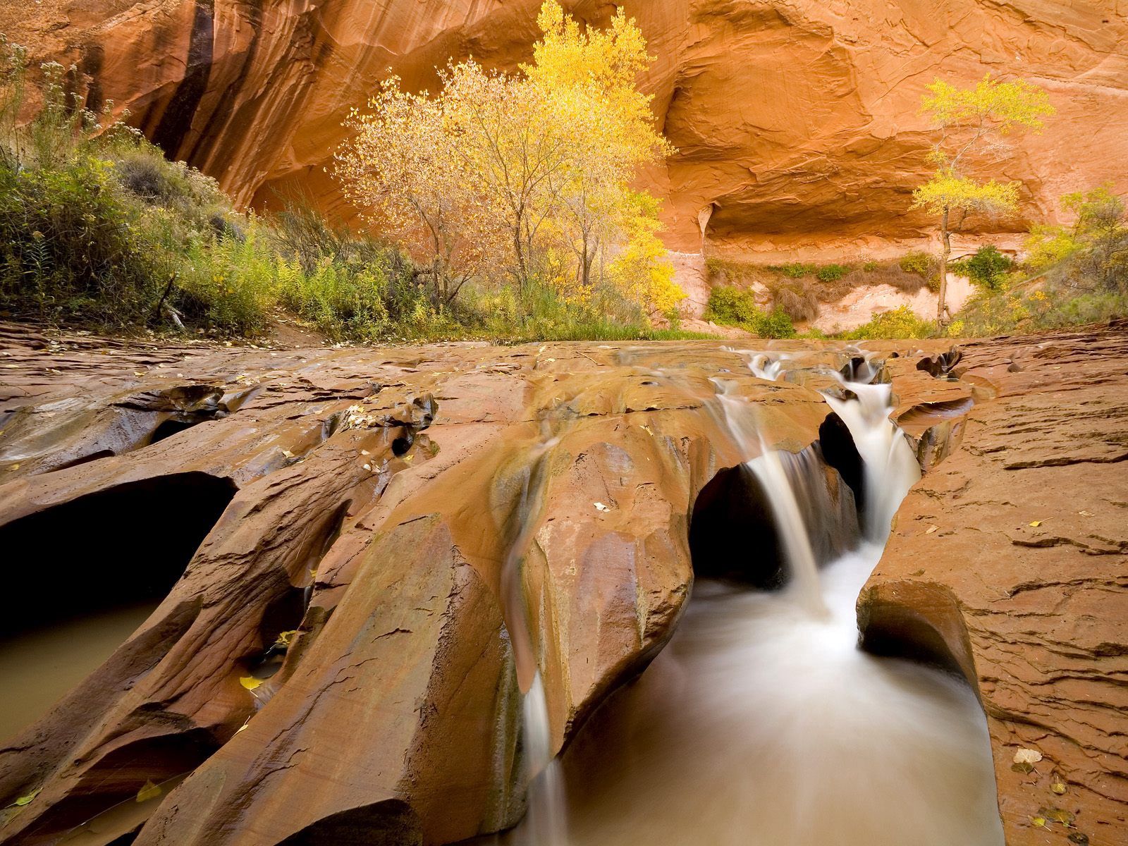 154064 download wallpaper nature, water, trees, stones, canyon, vegetation, flow, utah, stream, spearhead, prick screensavers and pictures for free